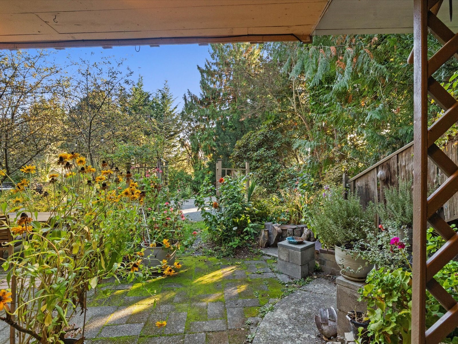 2009 116th Avenue Property Photo 34