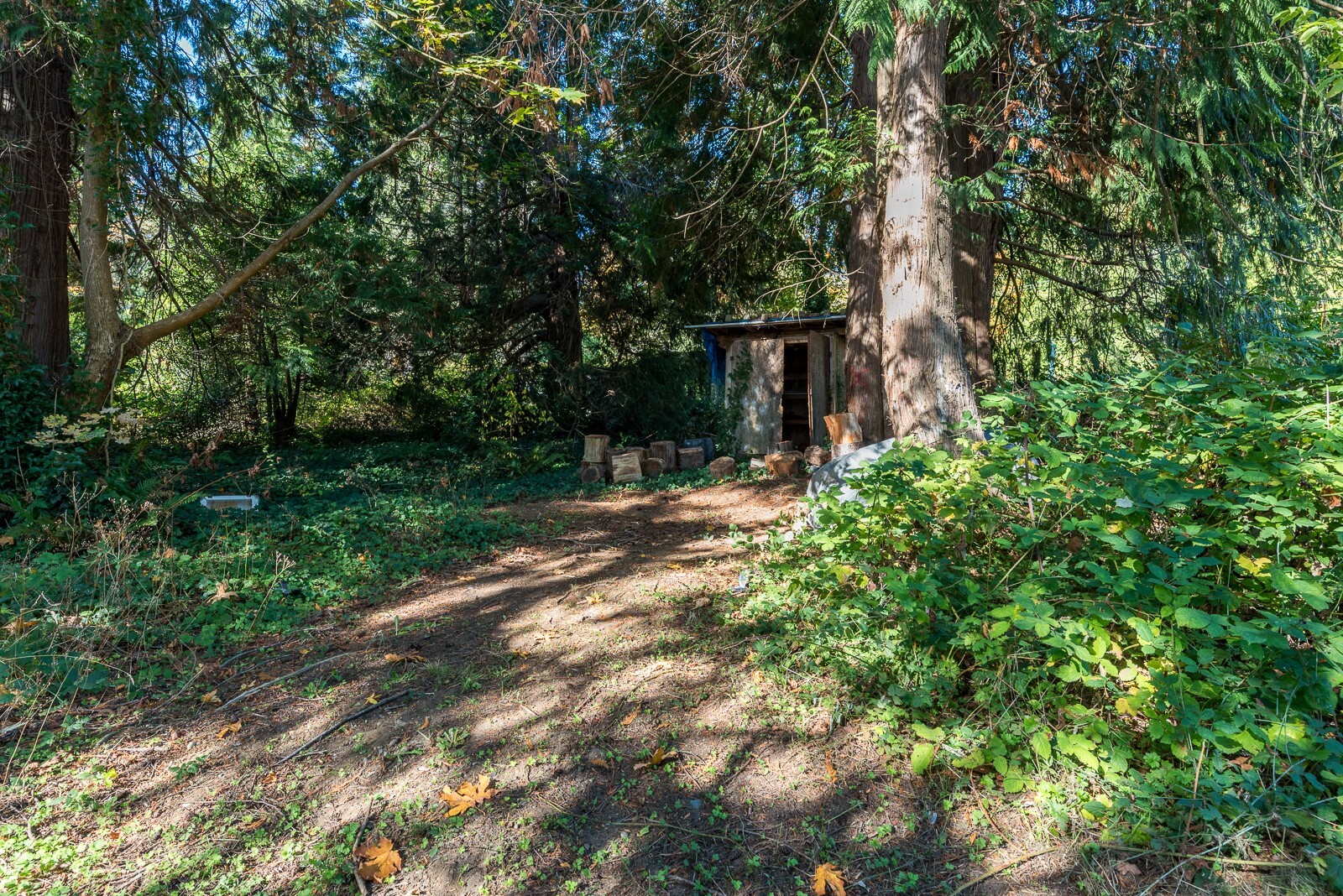 4419 Shoemaker Road Property Photo 19