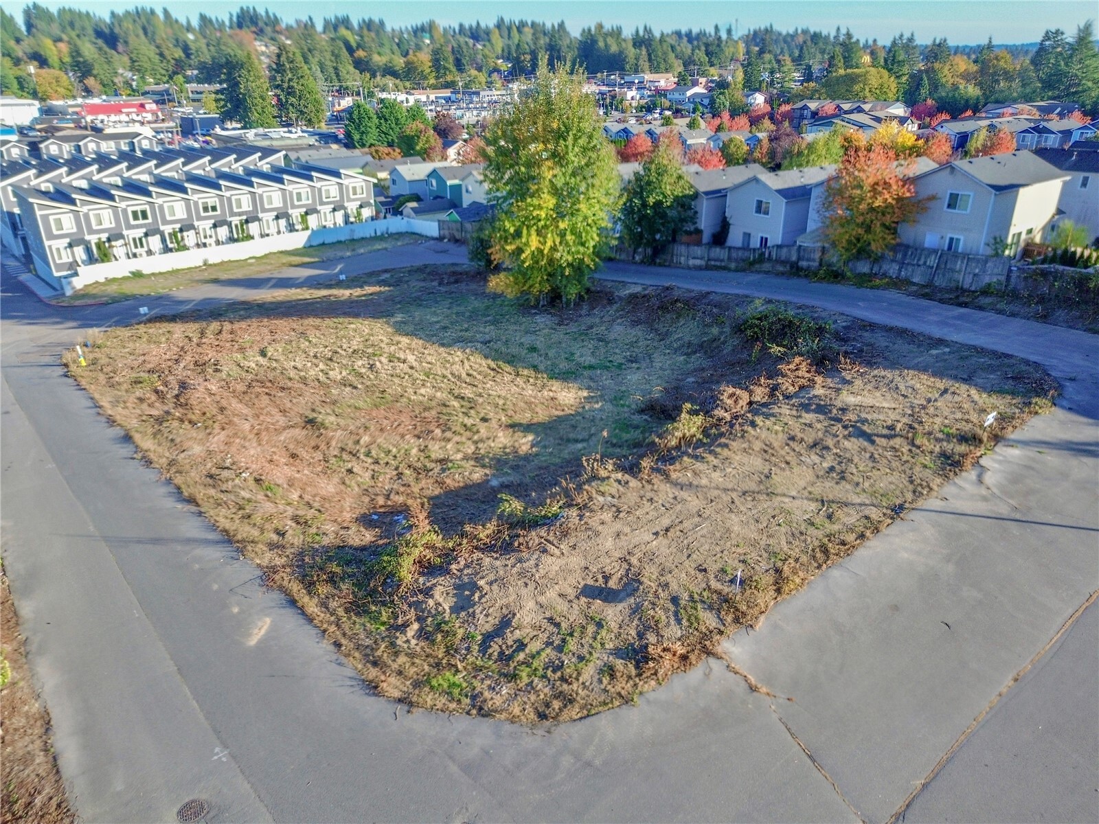 909 Quadrille Loop Property Photo 4
