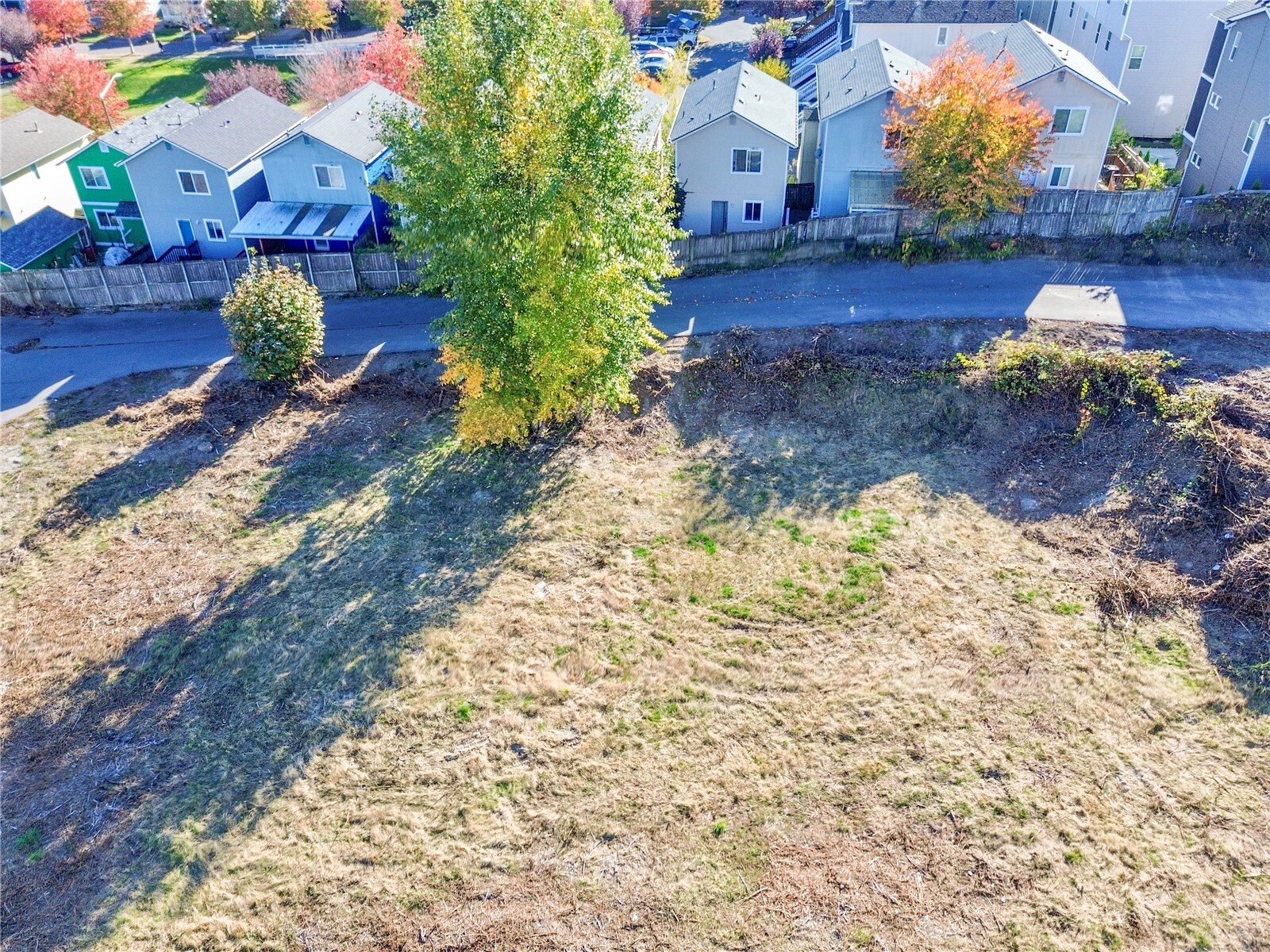 909 Quadrille Loop Property Photo 15