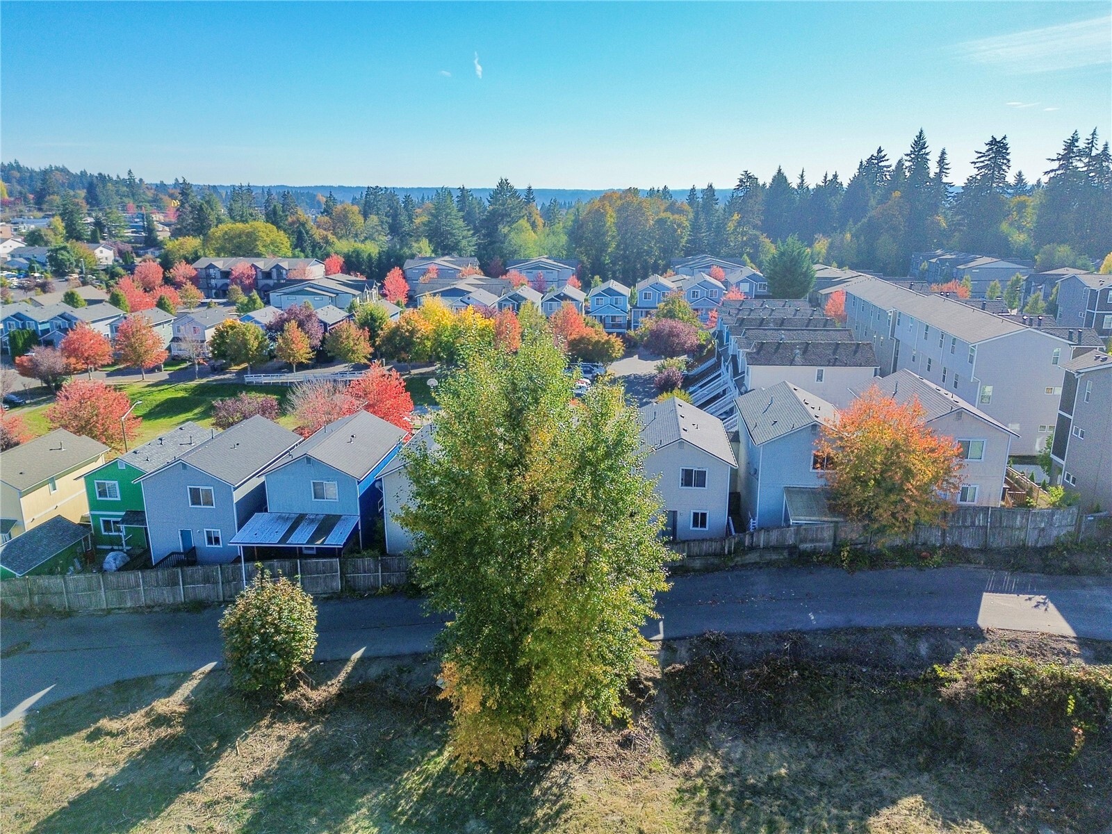 909 Quadrille Loop Property Photo 18