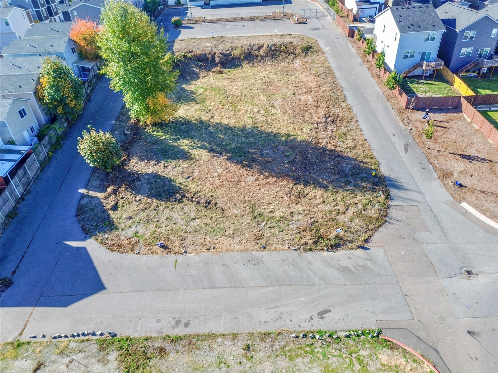 909 Quadrille Loop Property Photo 21