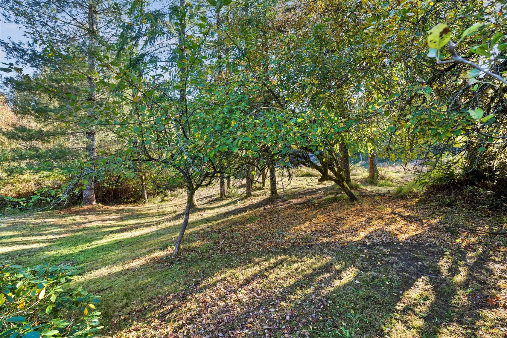 2816 State Route 6 Property Photo 26