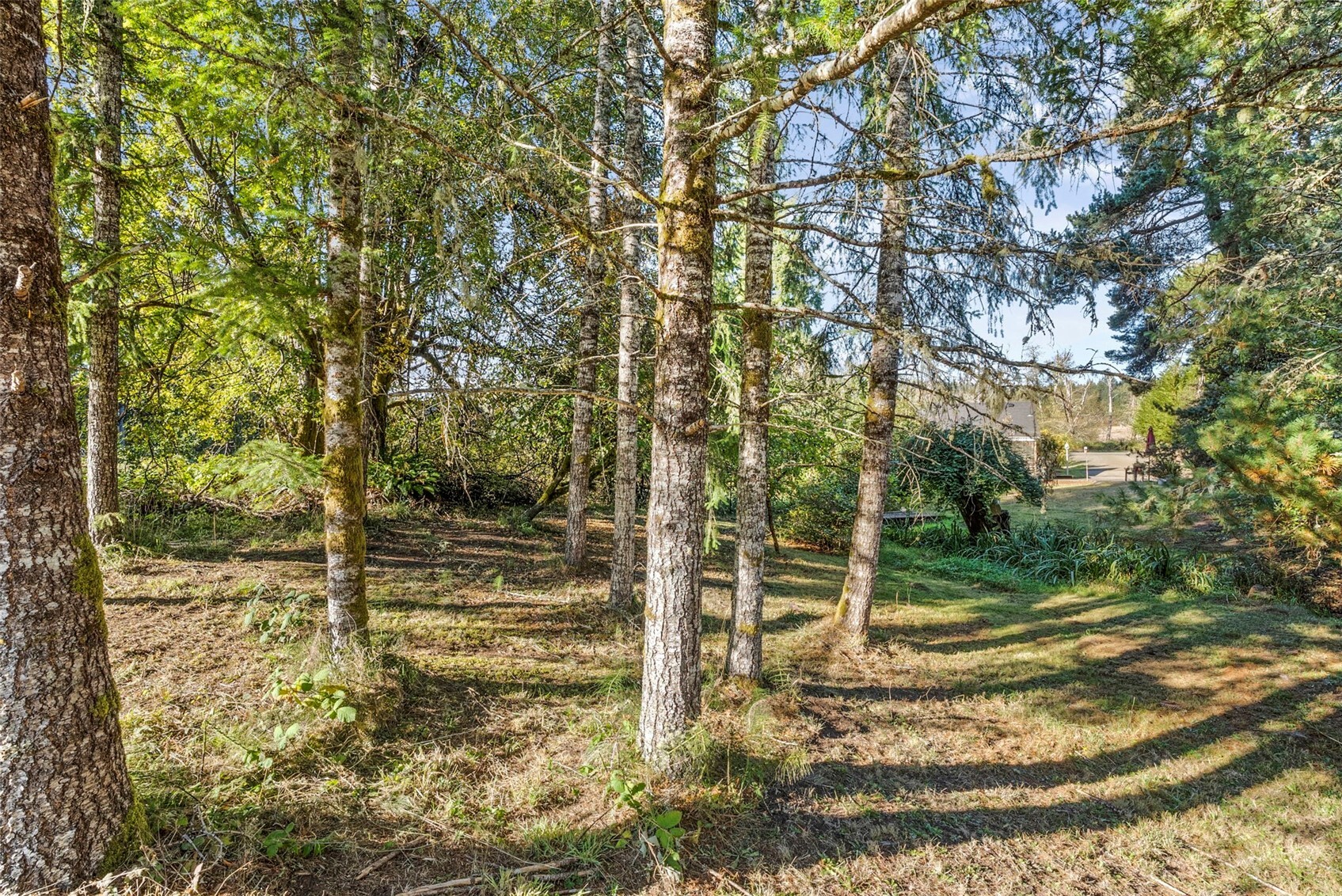 2816 State Route 6 Property Photo 28