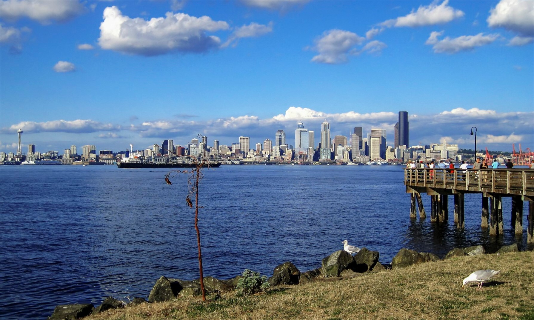 2242 Bonair Place Property Photo 37