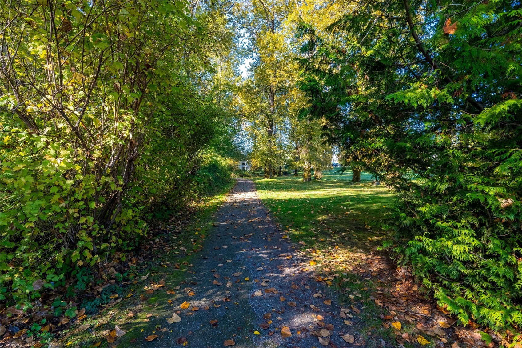 3700 Alabama Street 209 Property Photo 10