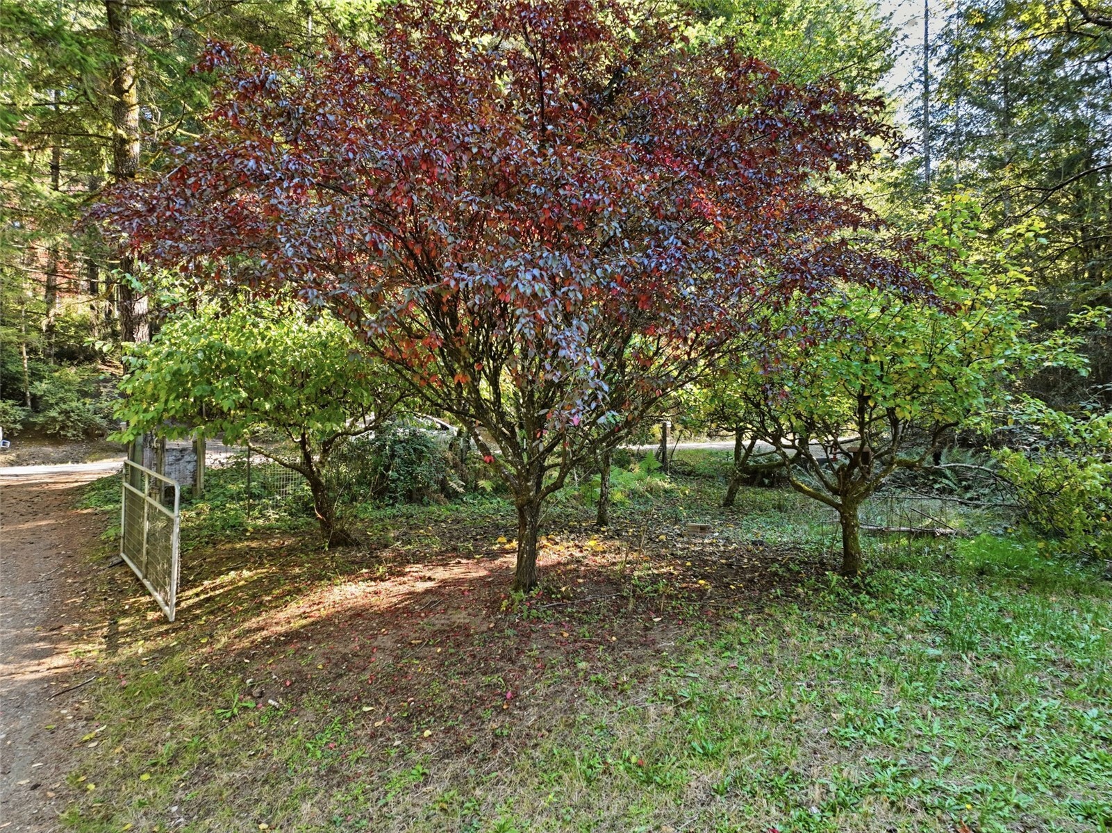 15120 176th Avenue Property Photo 36