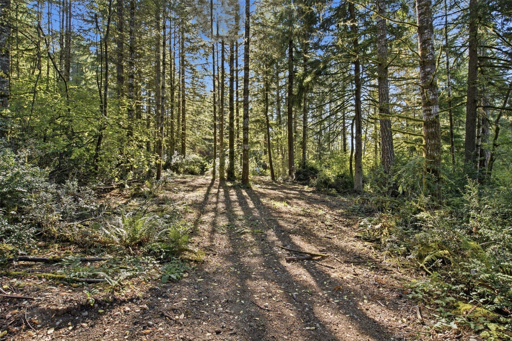 15120 176th Avenue Property Photo 37