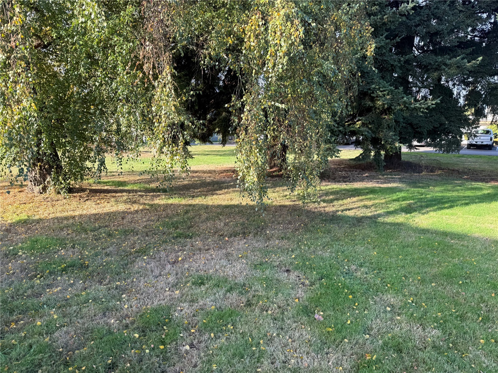 1425 River Road Property Photo 17