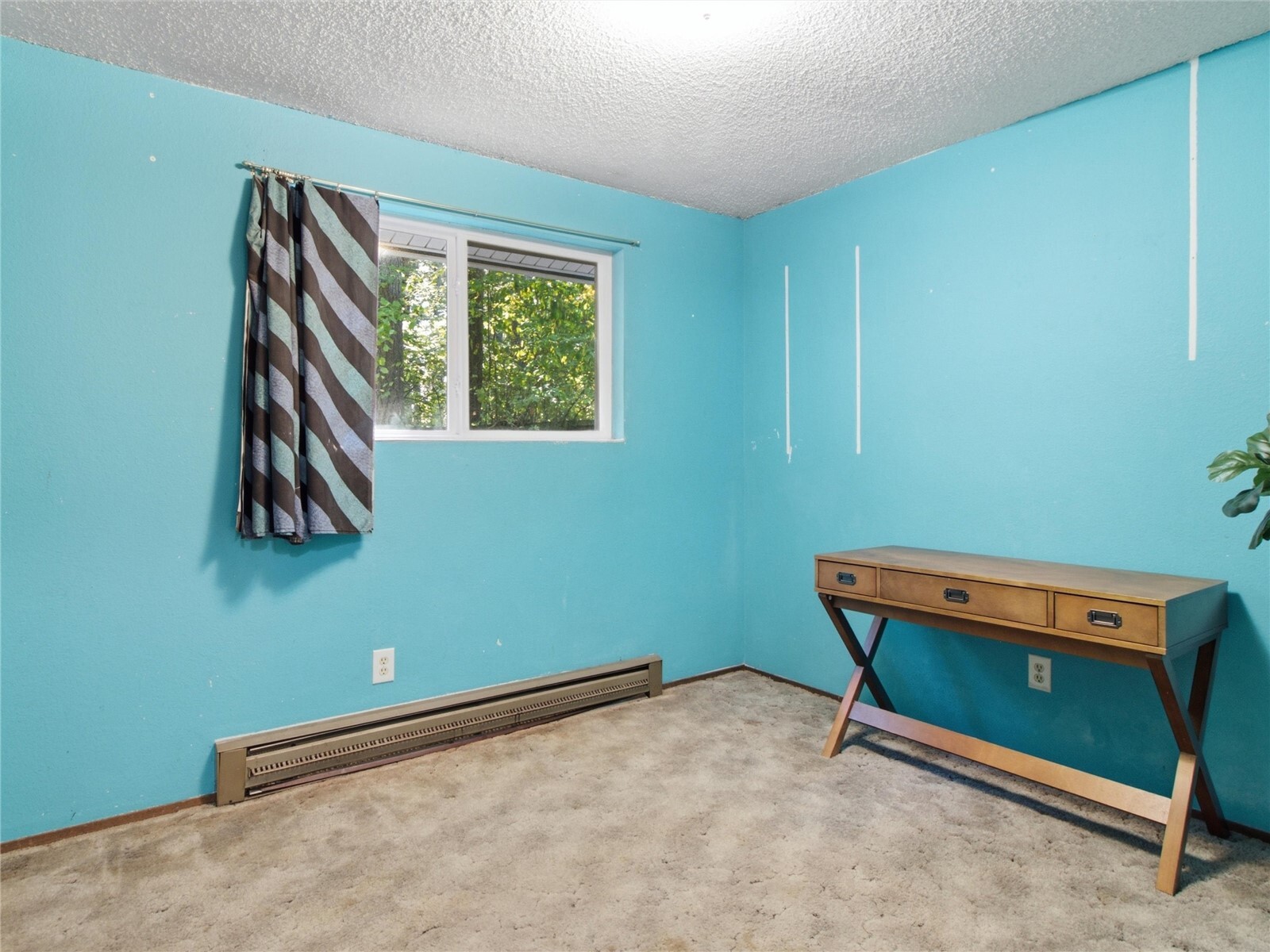 7631 Kittiwake Drive Property Photo 19