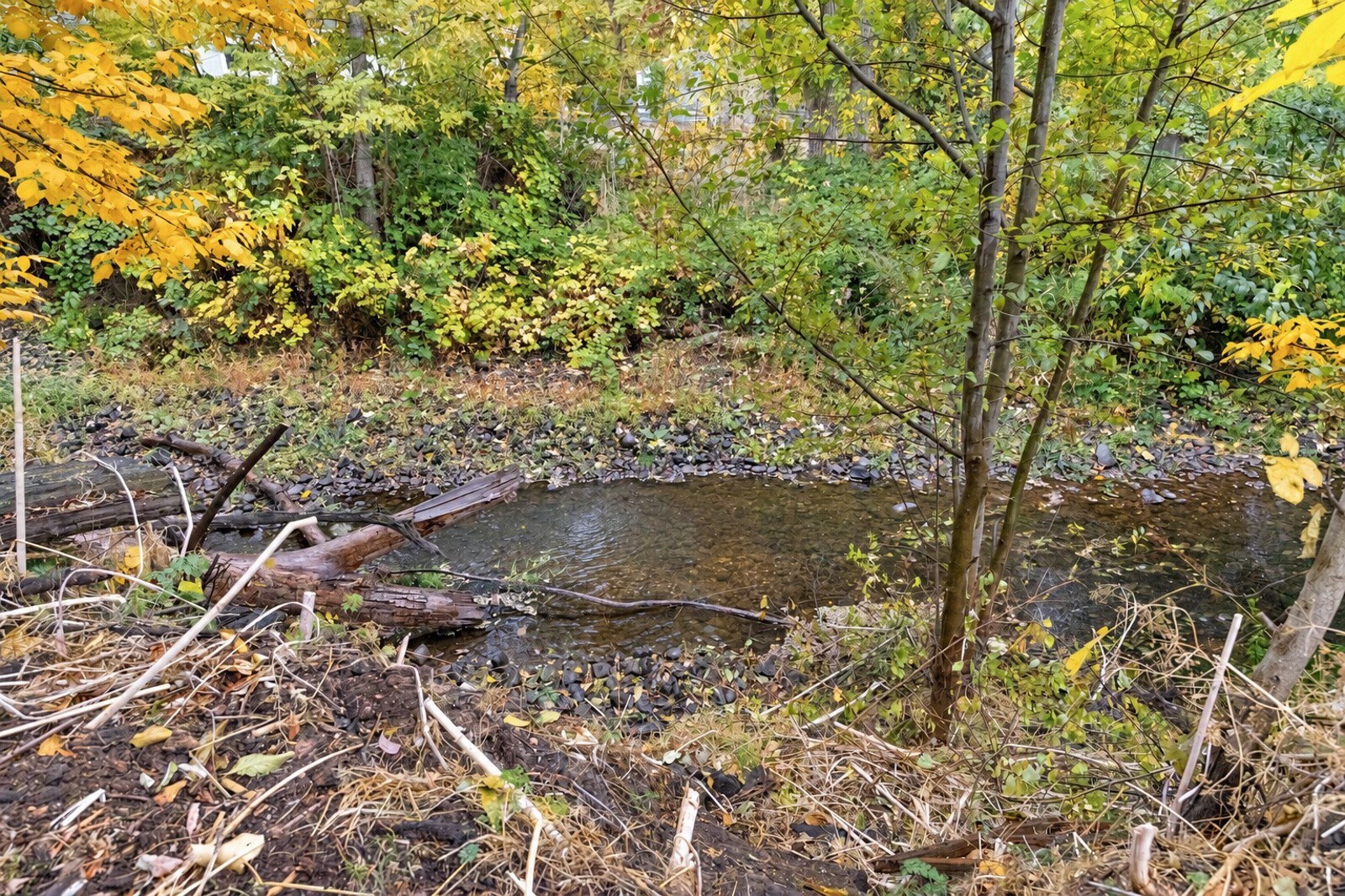 10330 E Highway 12 Property Photo 4