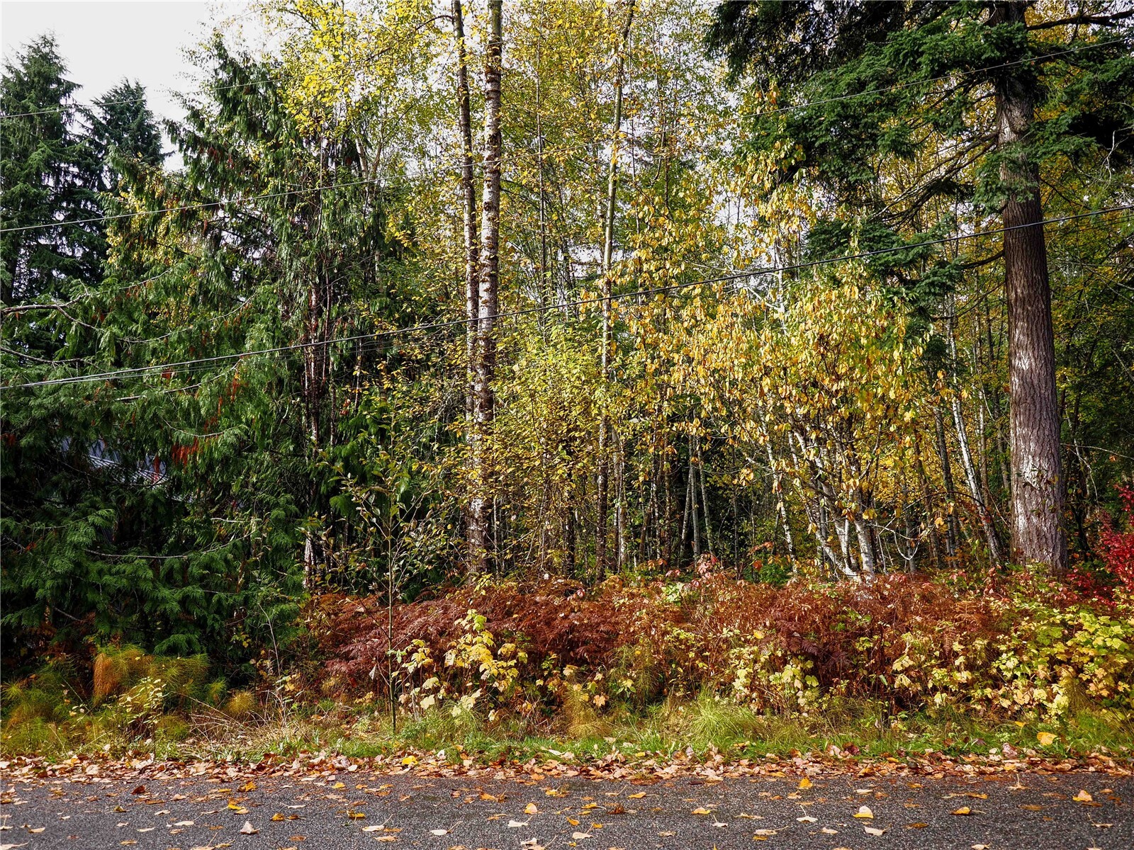 7590 Canyon View Drive Property Photo 4