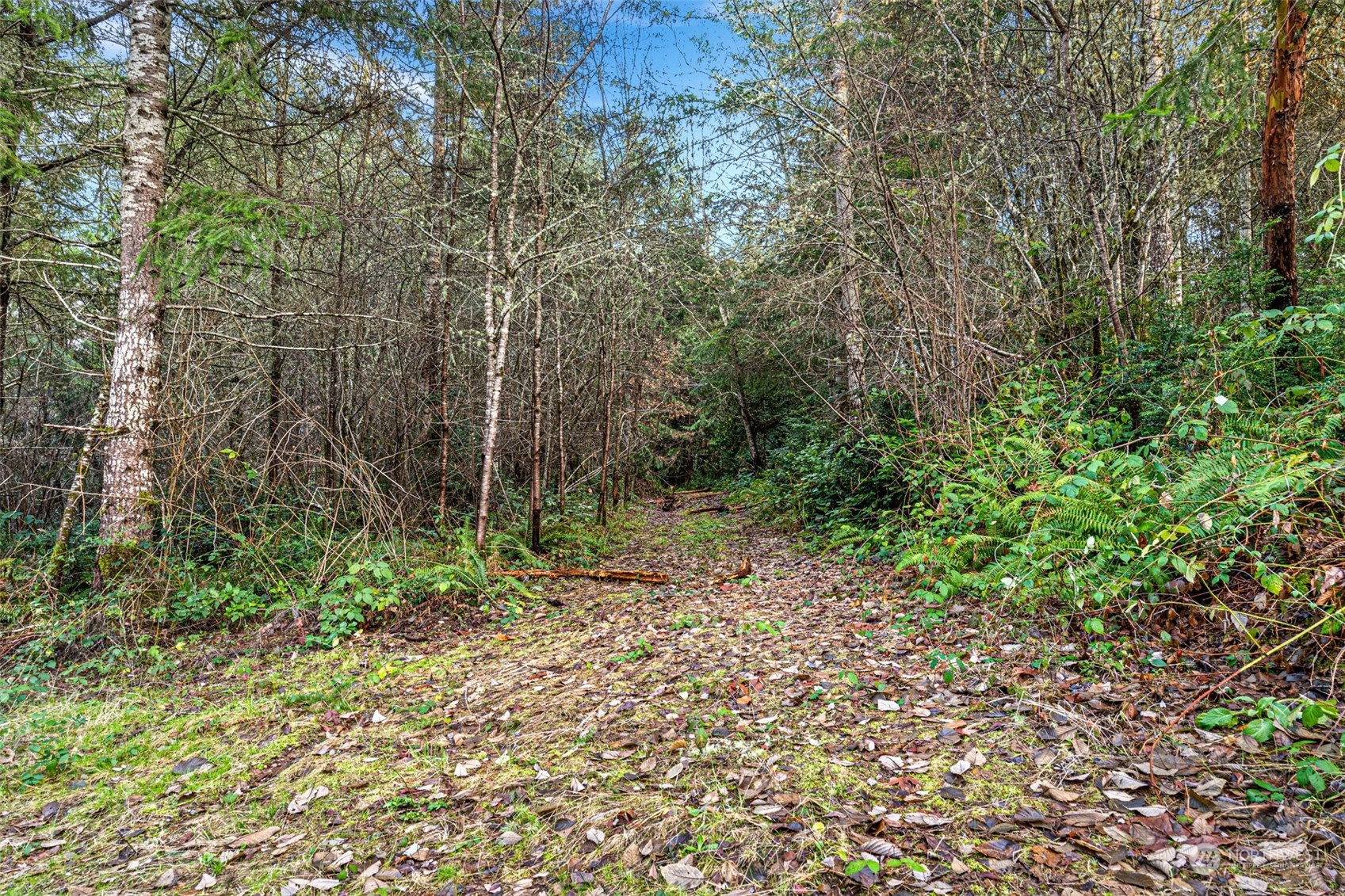 19324 46th Street Property Photo 7