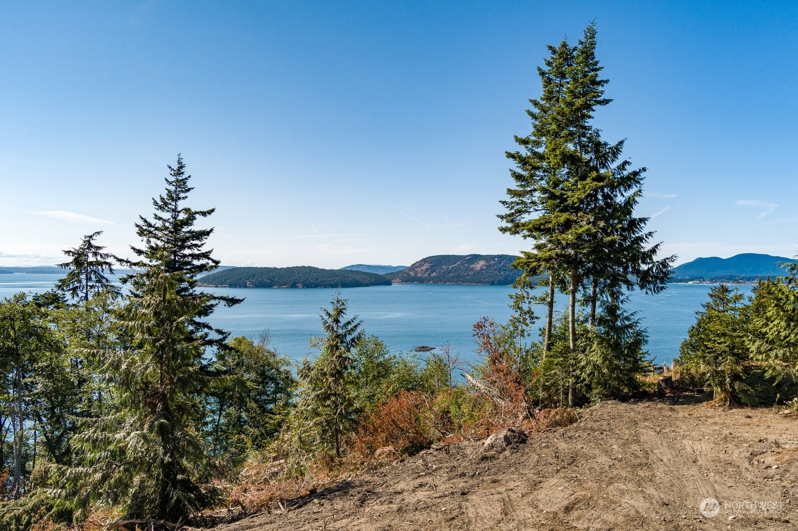 3743 Biz Point Road Property Photo 4