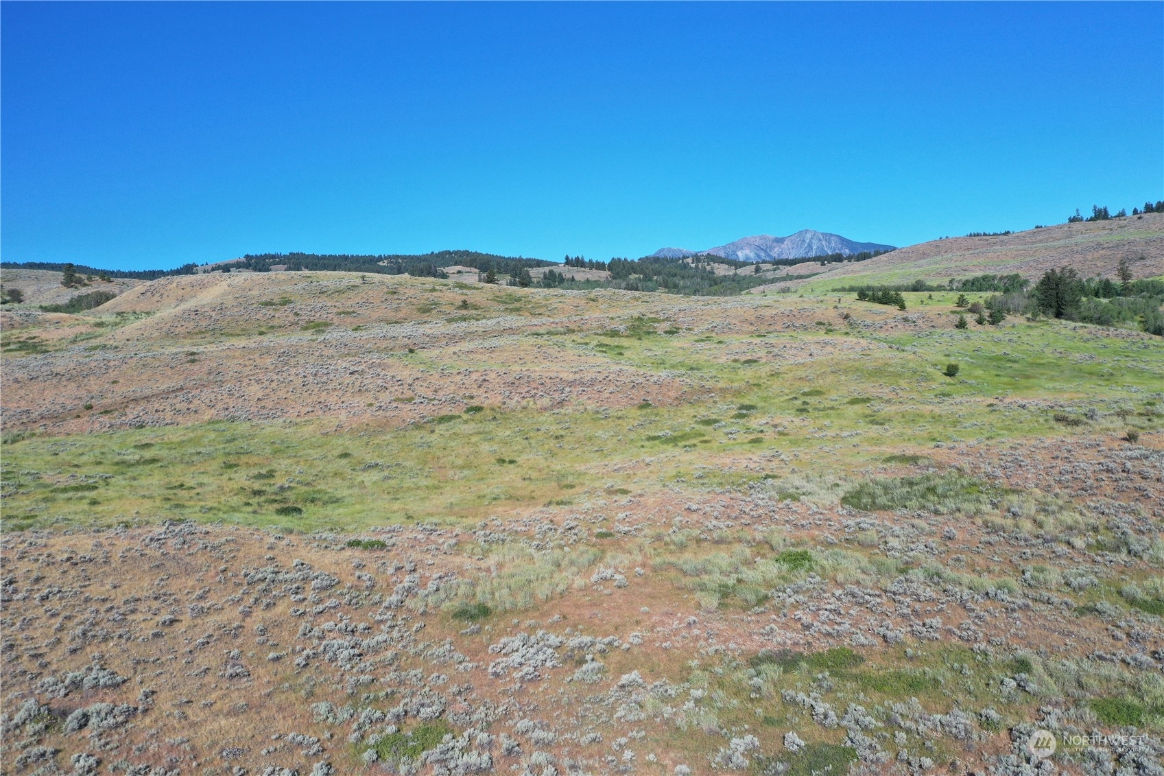 1111 Tbd Ellemeham Mtn Rd Property Photo 3