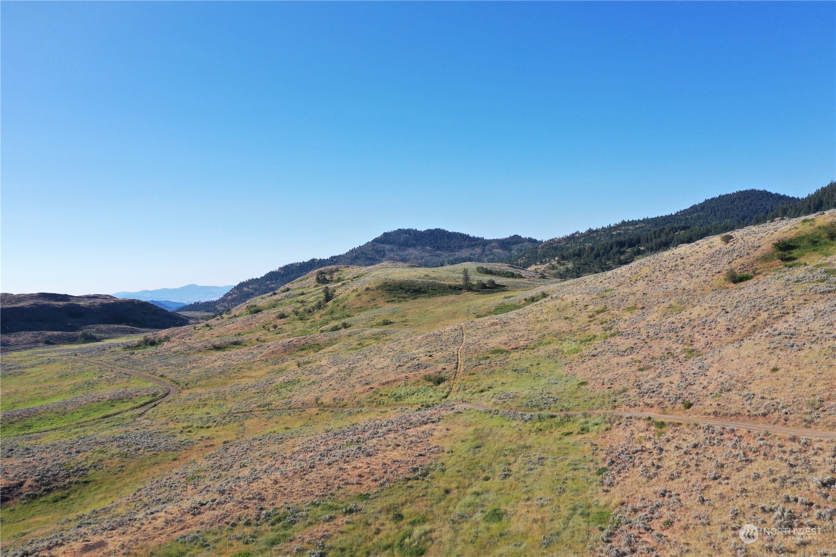 1111 Tbd Ellemeham Mtn Rd Property Photo 6