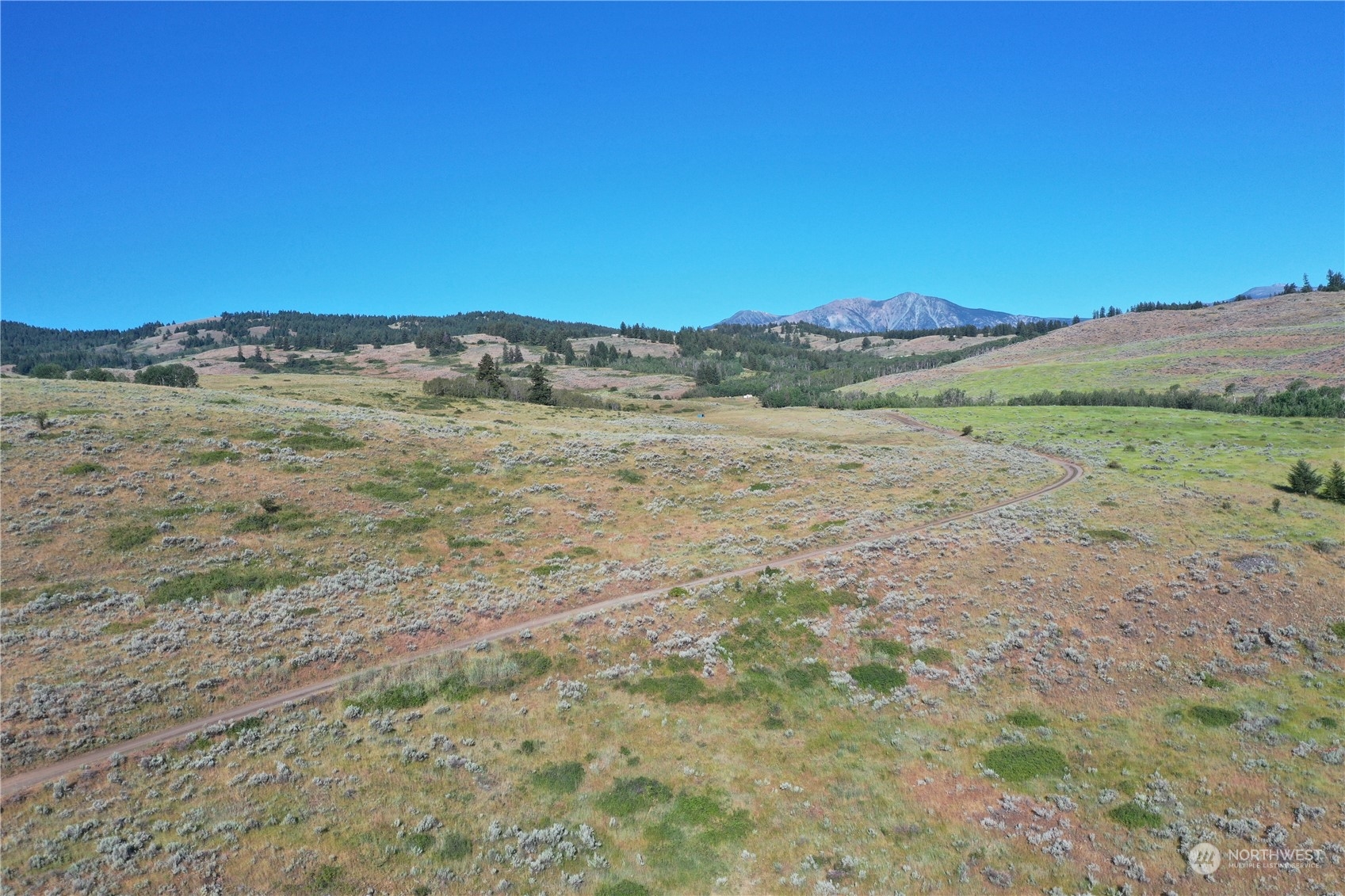 2222 Tbd Ellemeham Mtn Rd Property Photo 5
