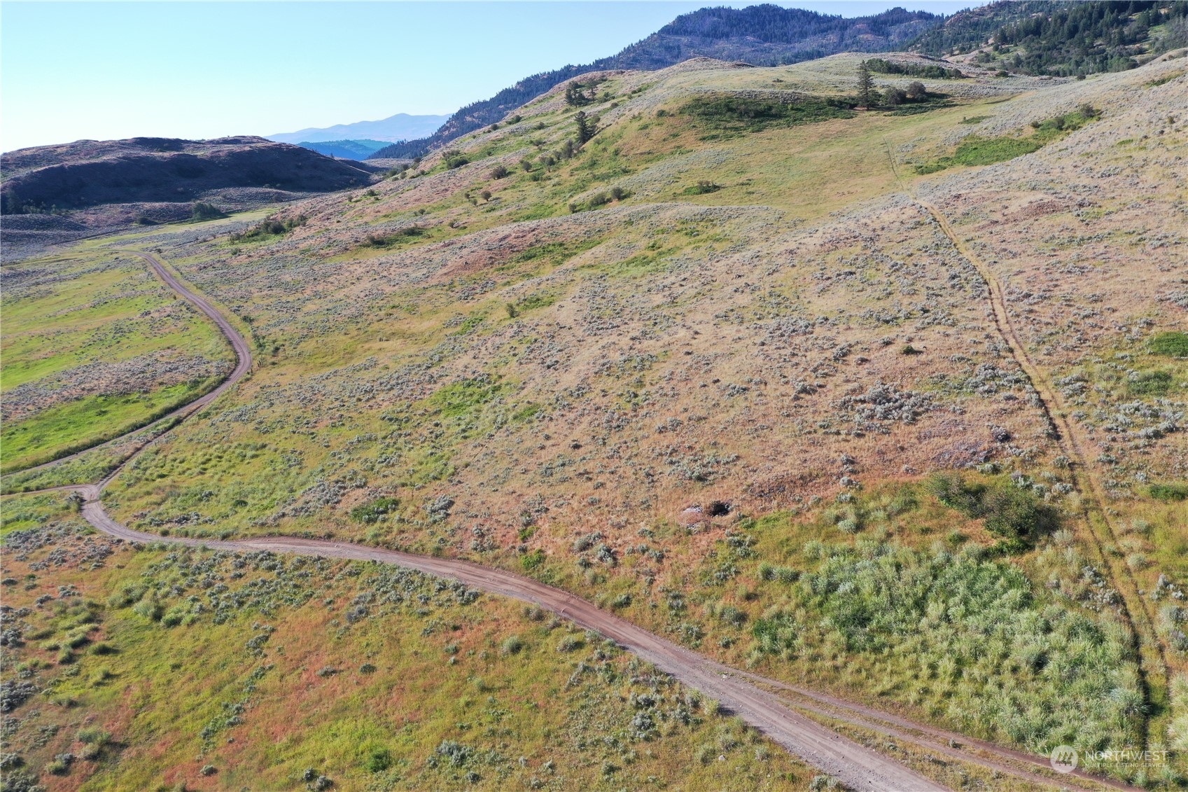 2222 Tbd Ellemeham Mtn Rd Property Photo 8