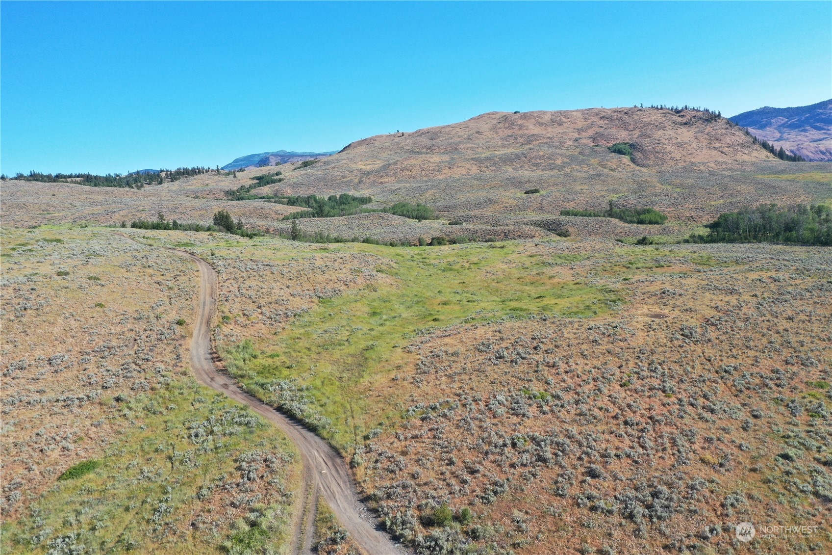 2222 Tbd Ellemeham Mtn Rd Property Photo 13