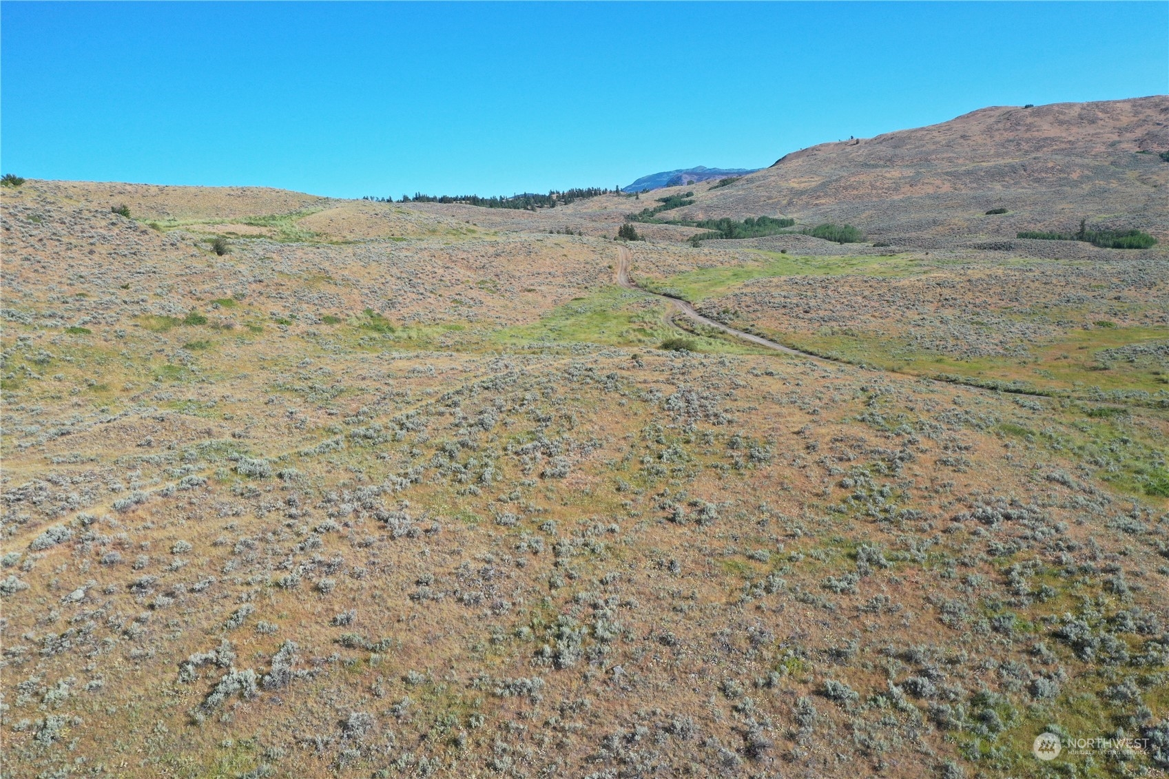 2222 Tbd Ellemeham Mtn Rd Property Photo 19