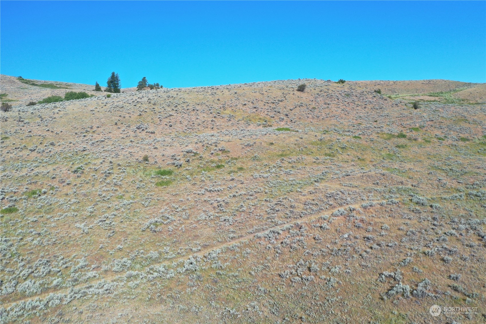 2222 Tbd Ellemeham Mtn Rd Property Photo 20