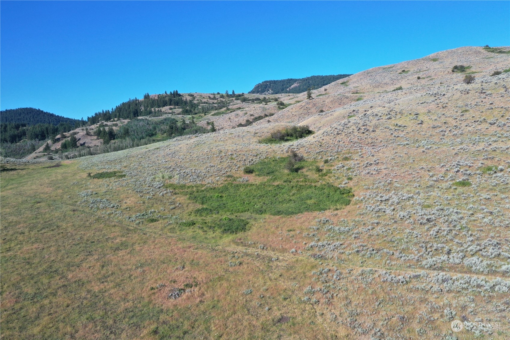 2222 Tbd Ellemeham Mtn Rd Property Photo 21