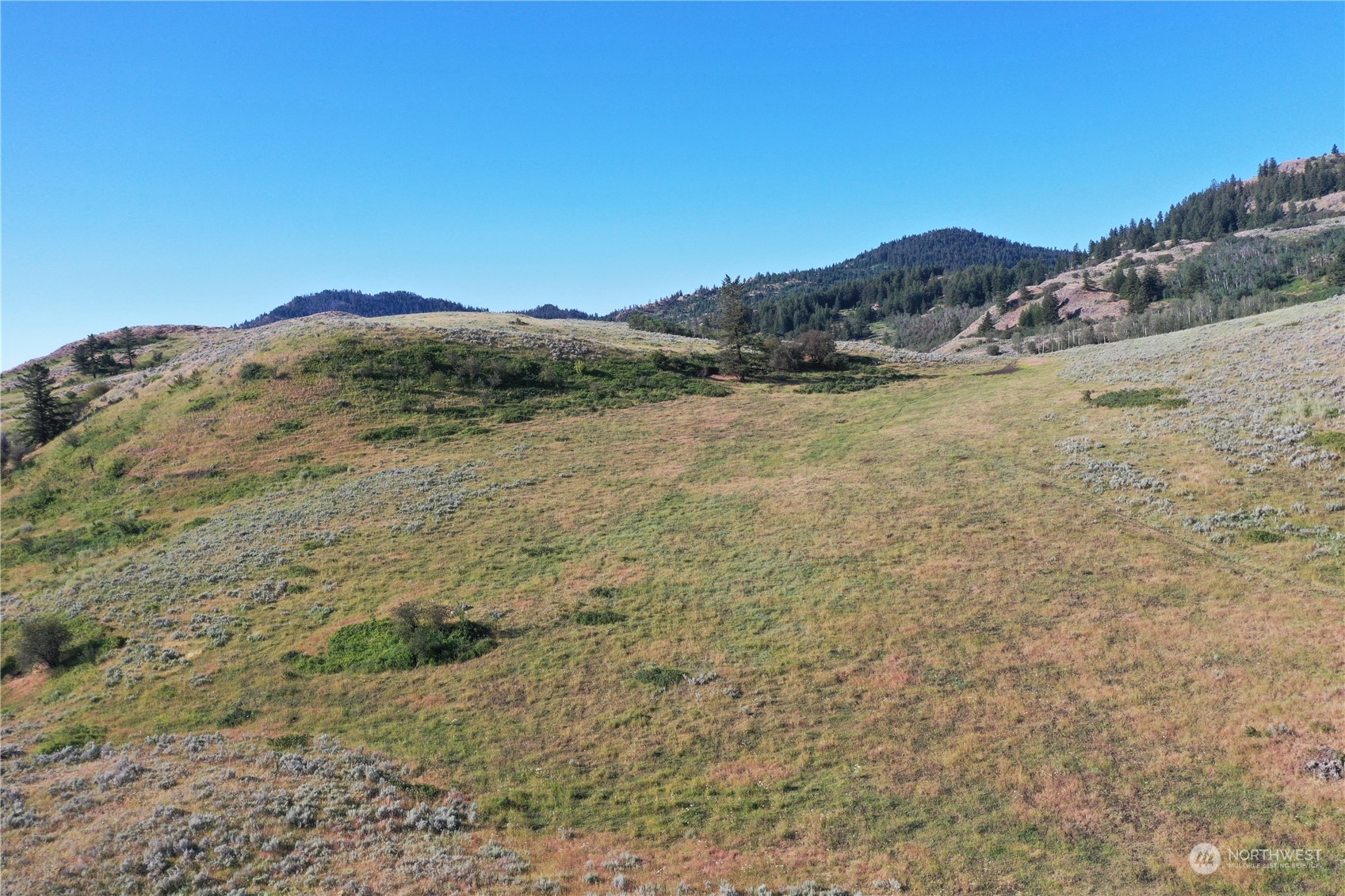 2222 Tbd Ellemeham Mtn Rd Property Photo 22