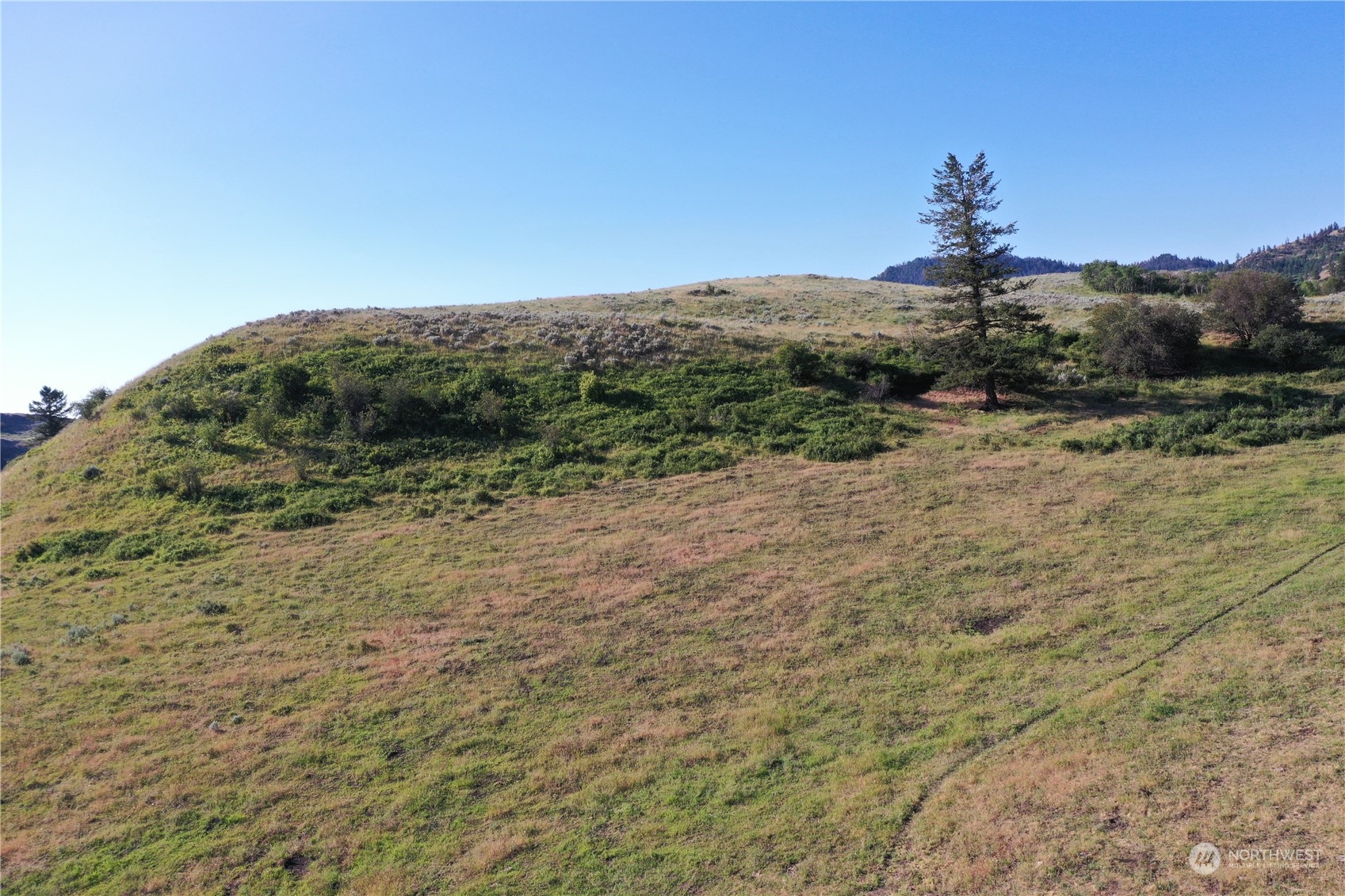 2222 Tbd Ellemeham Mtn Rd Property Photo 25