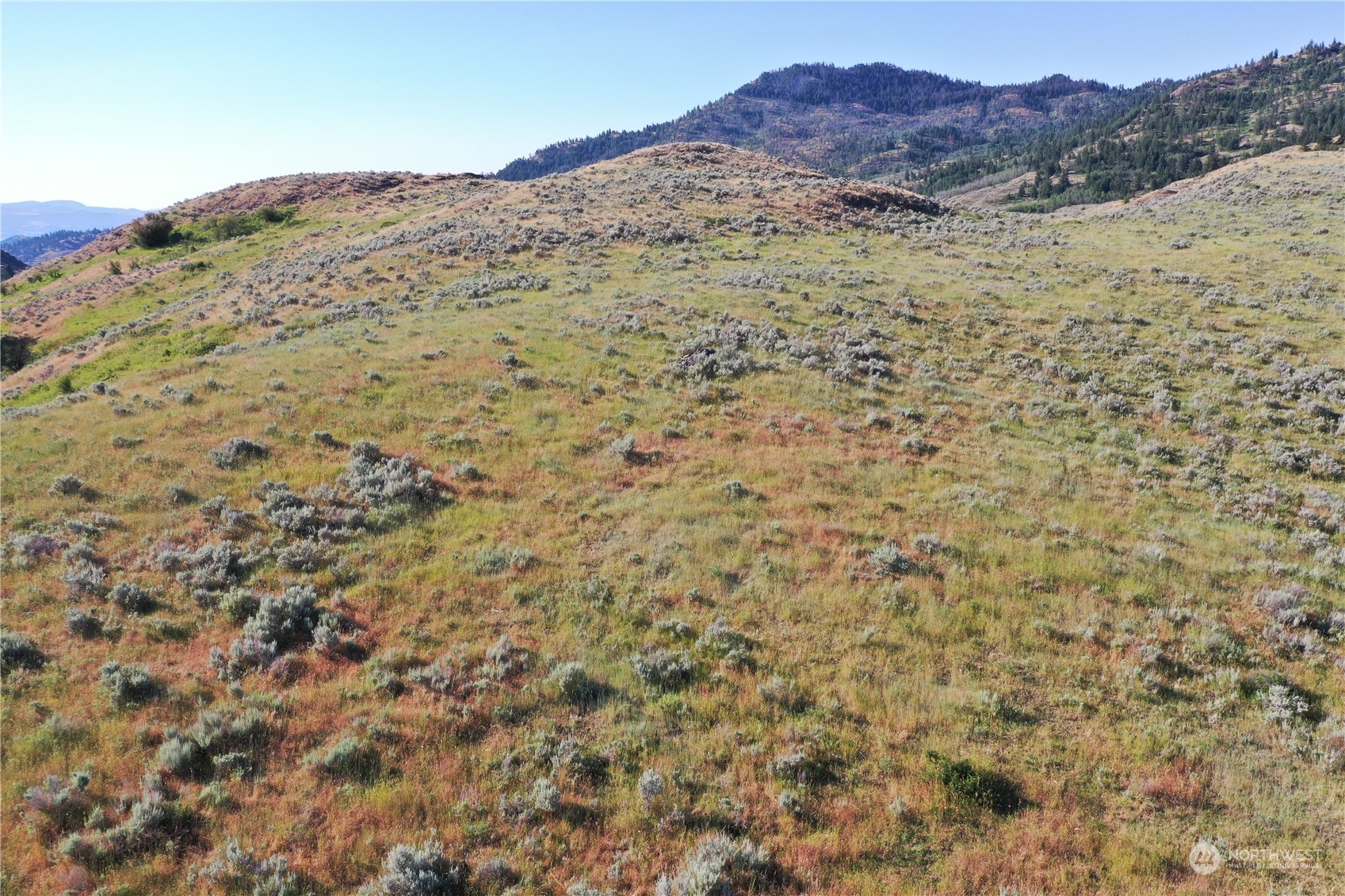 2222 Tbd Ellemeham Mtn Rd Property Photo 33