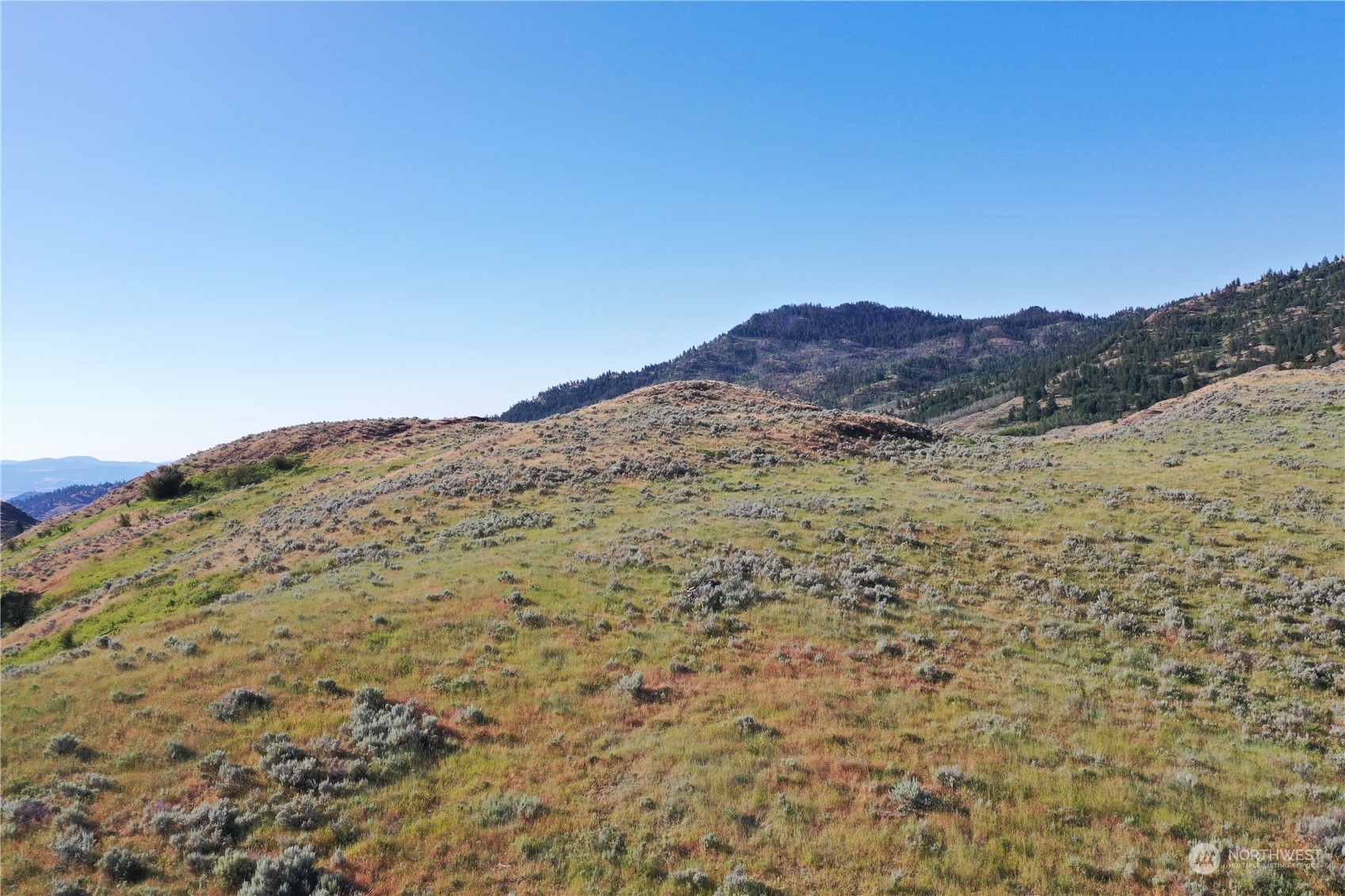 2222 Tbd Ellemeham Mtn Rd Property Photo 34