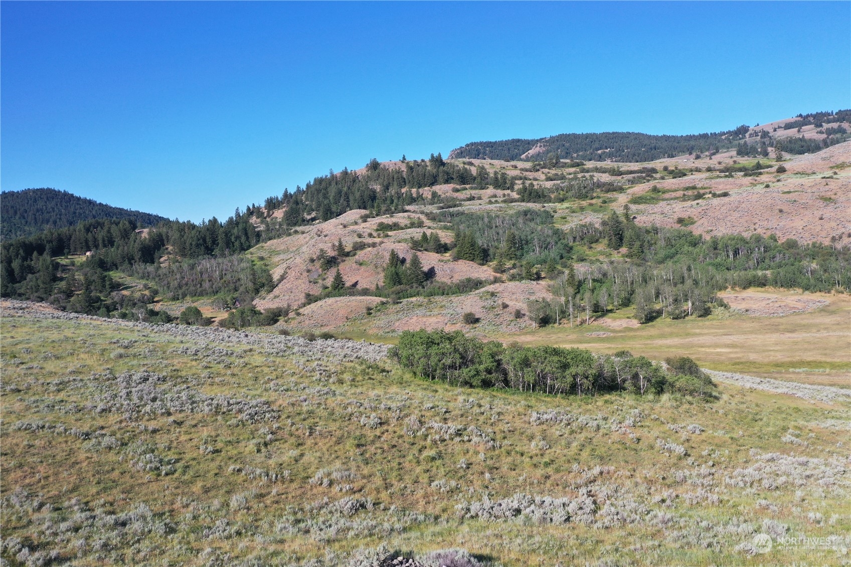 2222 Tbd Ellemeham Mtn Rd Property Photo 36