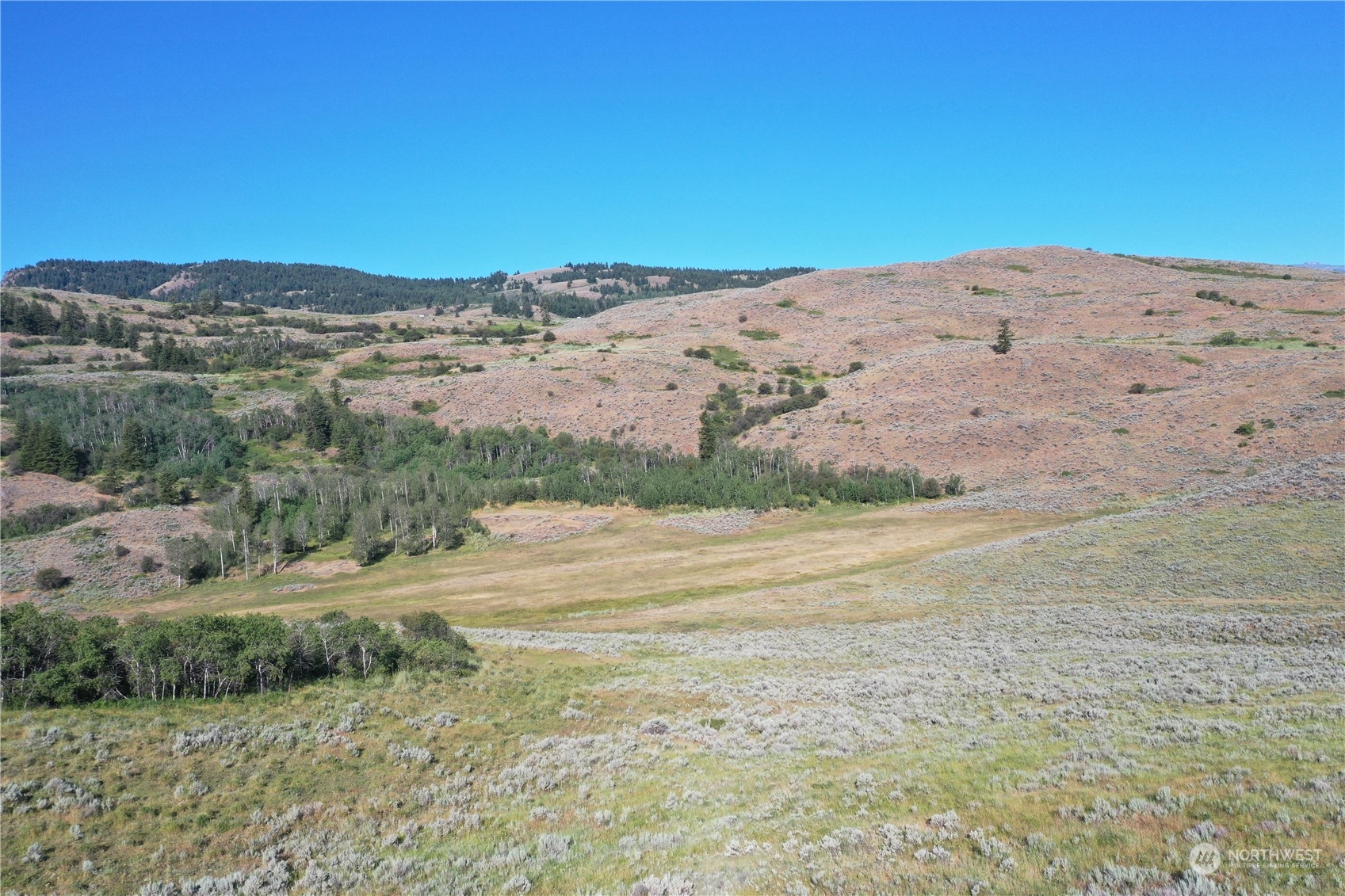 2222 Tbd Ellemeham Mtn Rd Property Photo 37