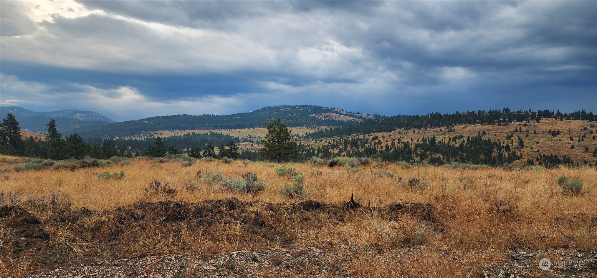 111 Tbd Razor Rd Property Photo 10