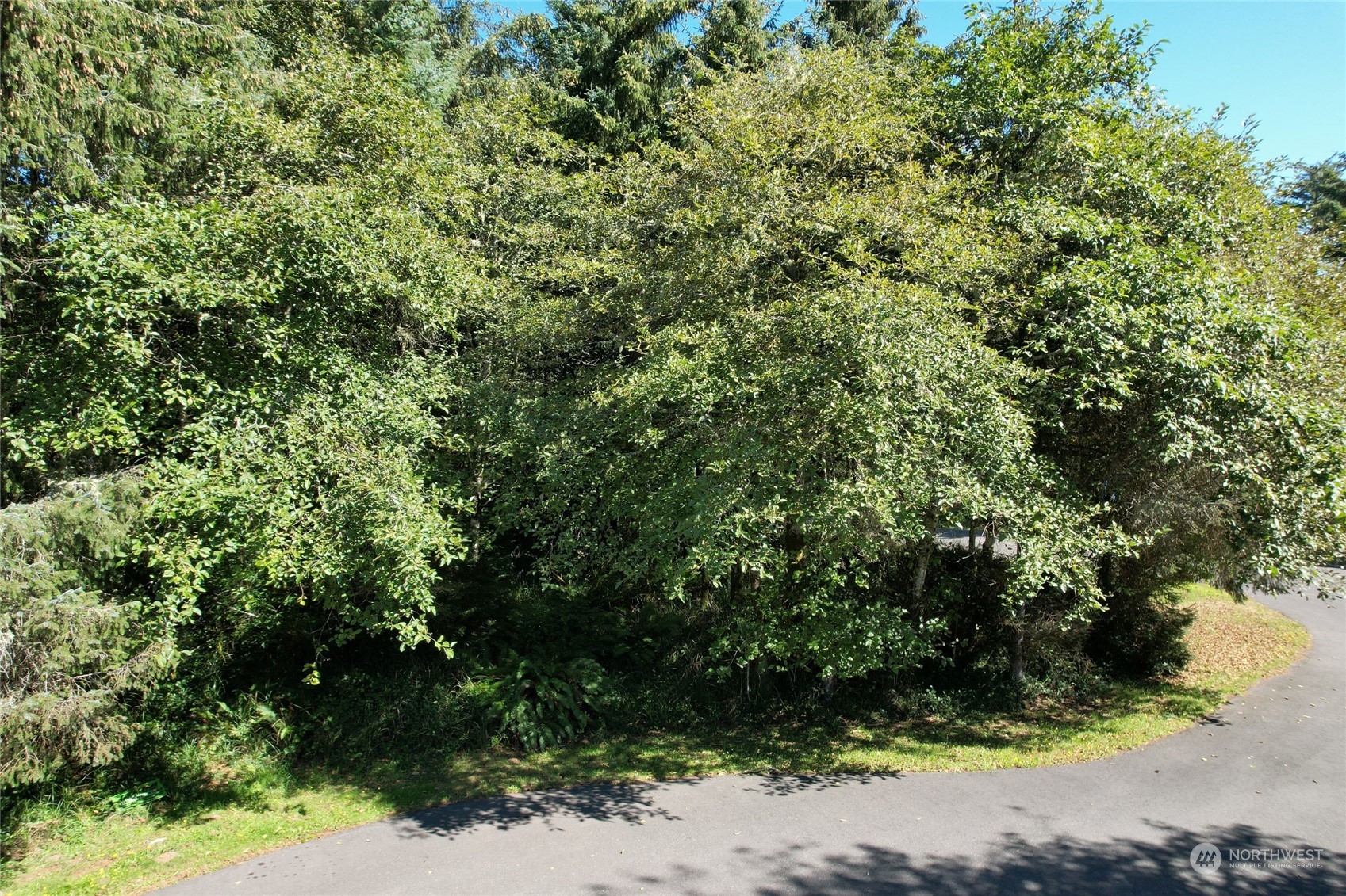 768 Sandpiper Court Property Photo 7