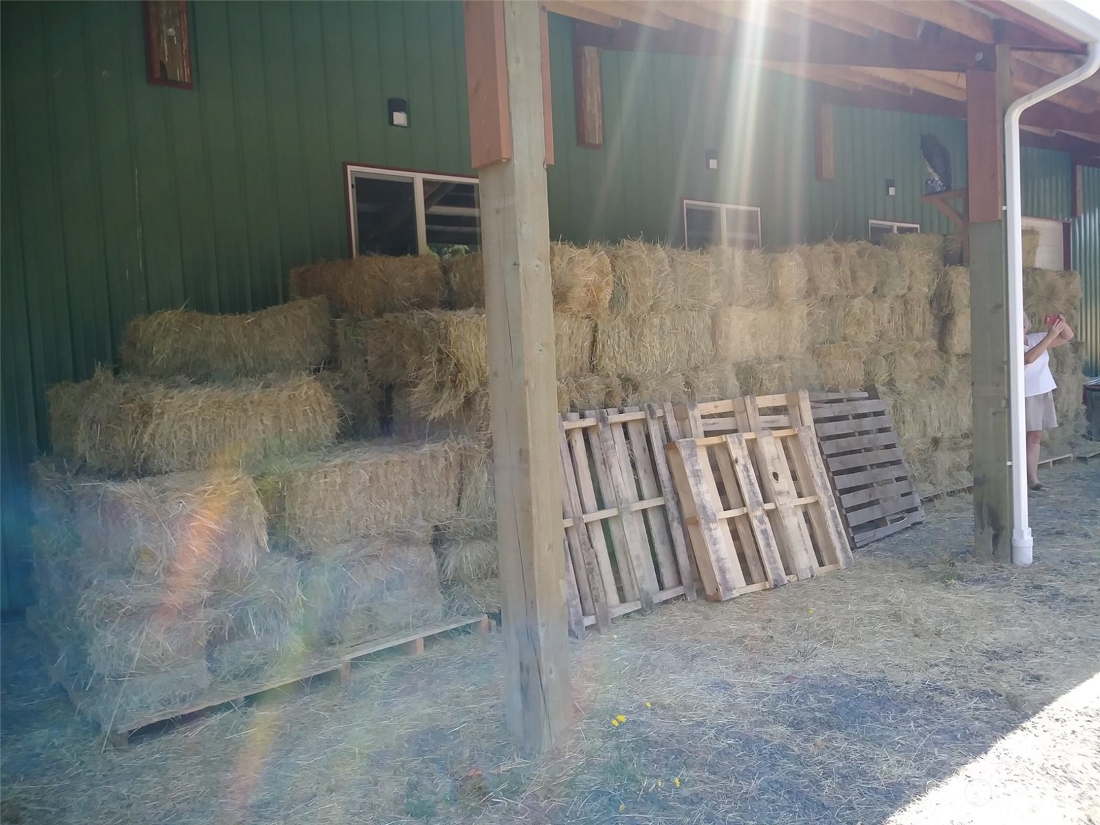 1377 Hining Road Property Photo 8