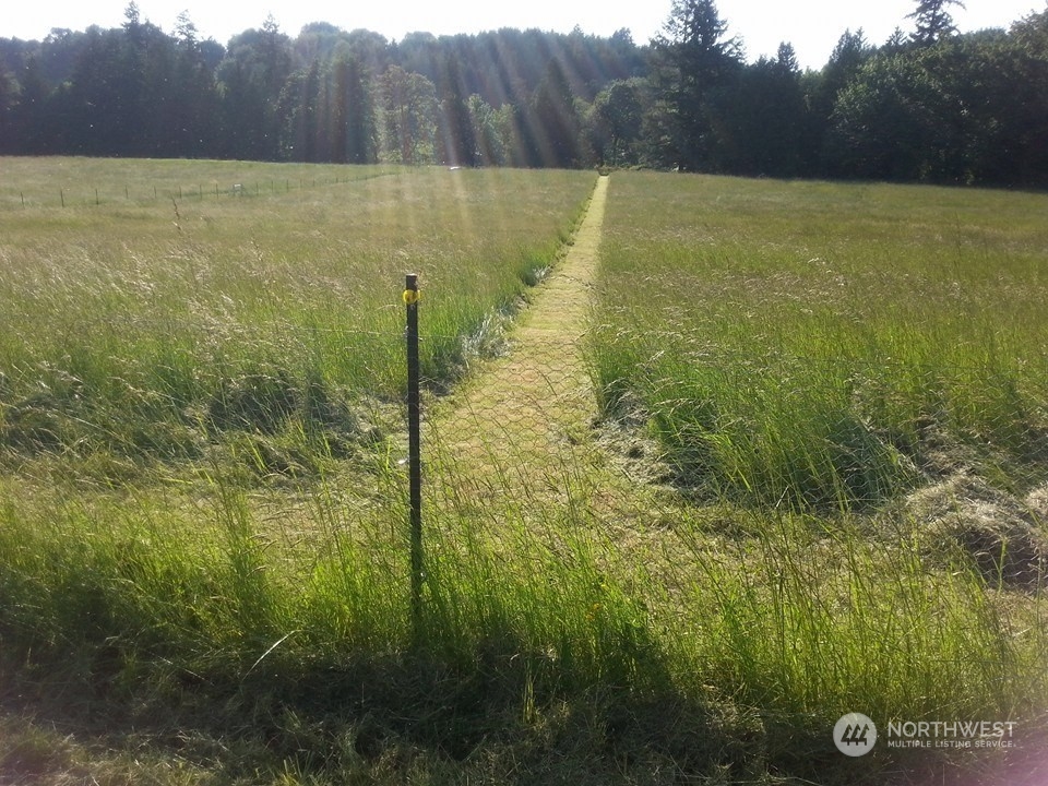 1377 Hining Road Property Photo 9