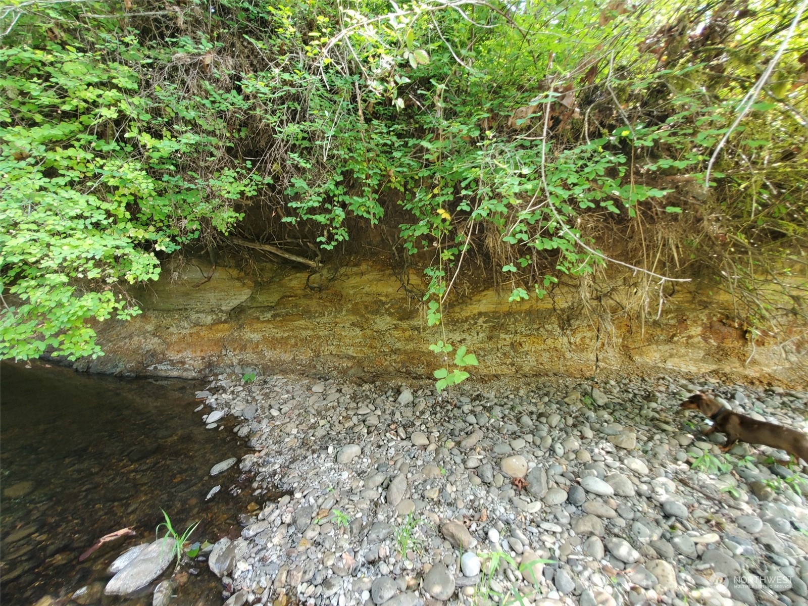 1377 Hining Road Property Photo 12