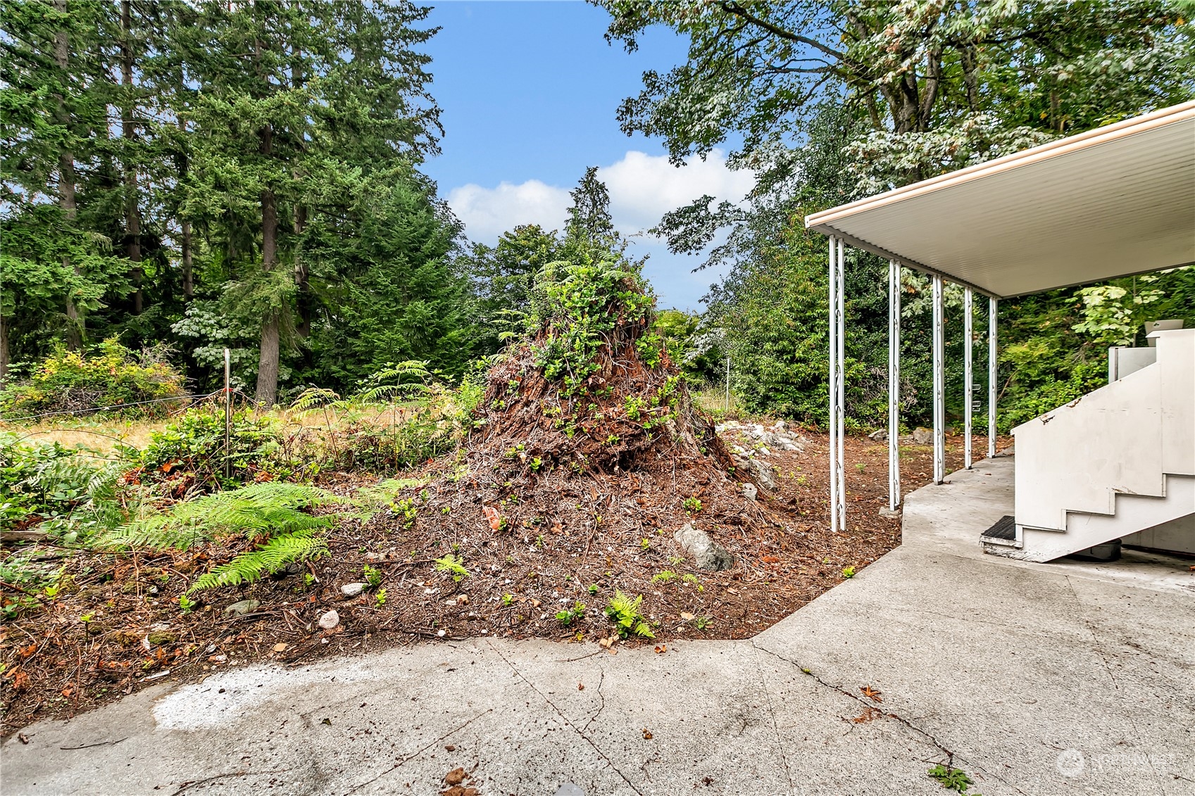 11503 155 Avenue Property Photo 17
