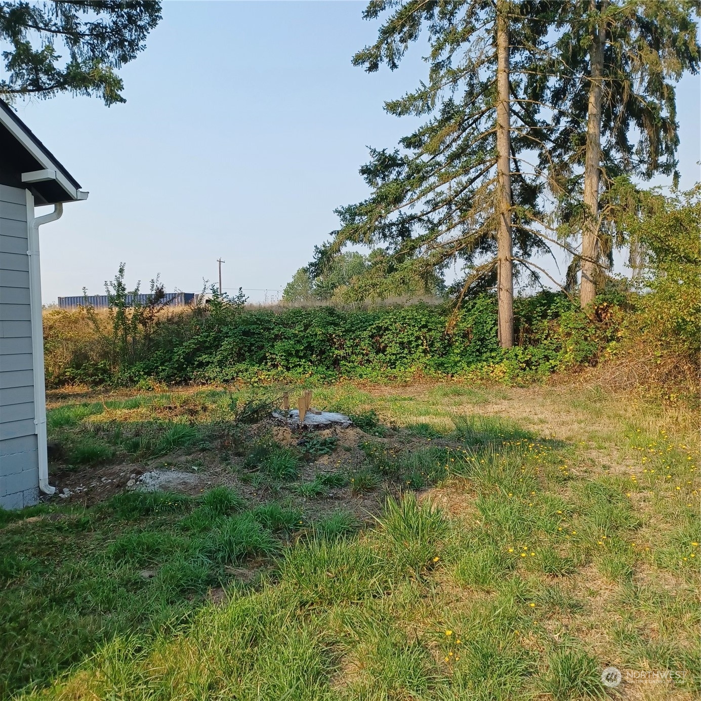 1257 S Yew Street Property Photo 2