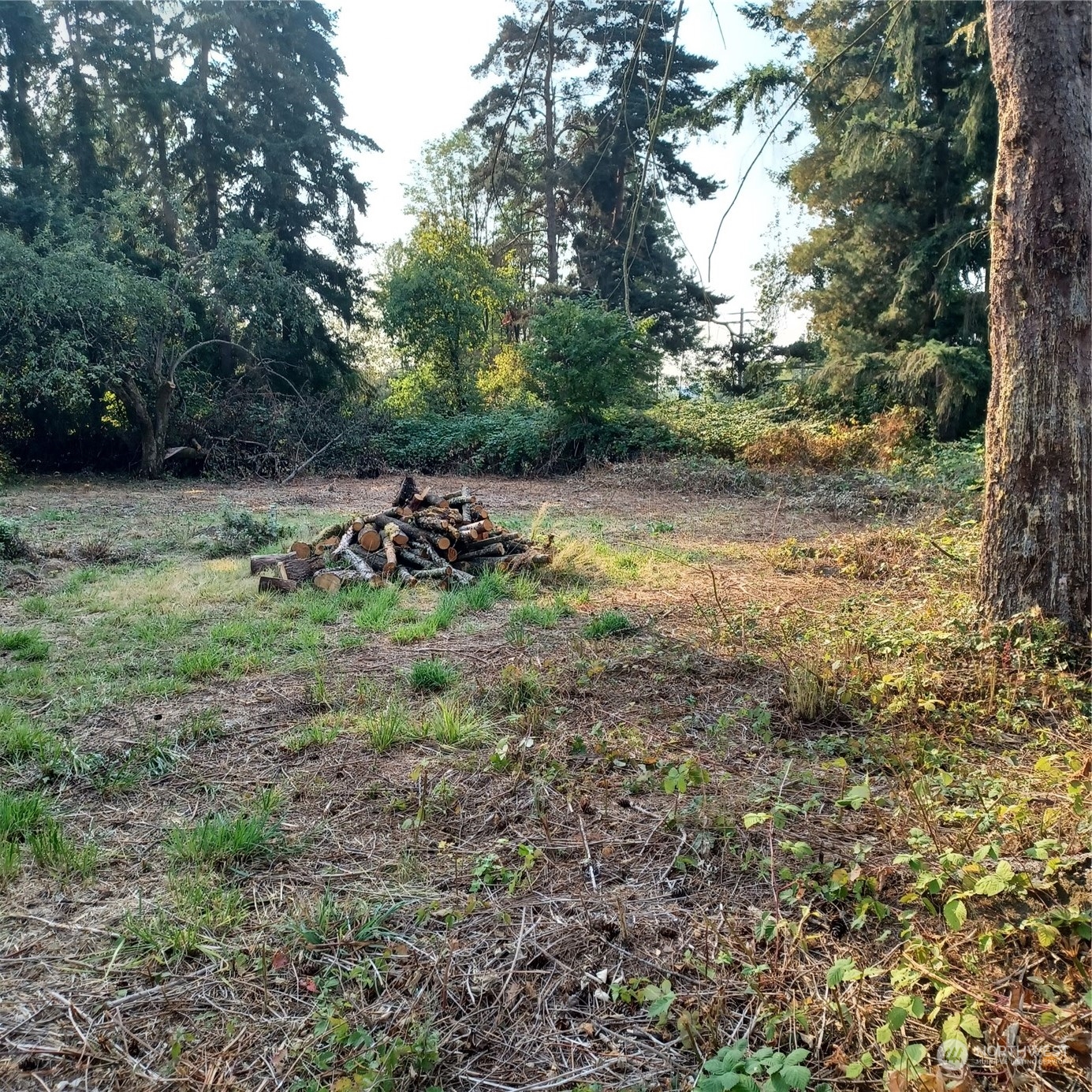 1257 S Yew Street Property Photo 3