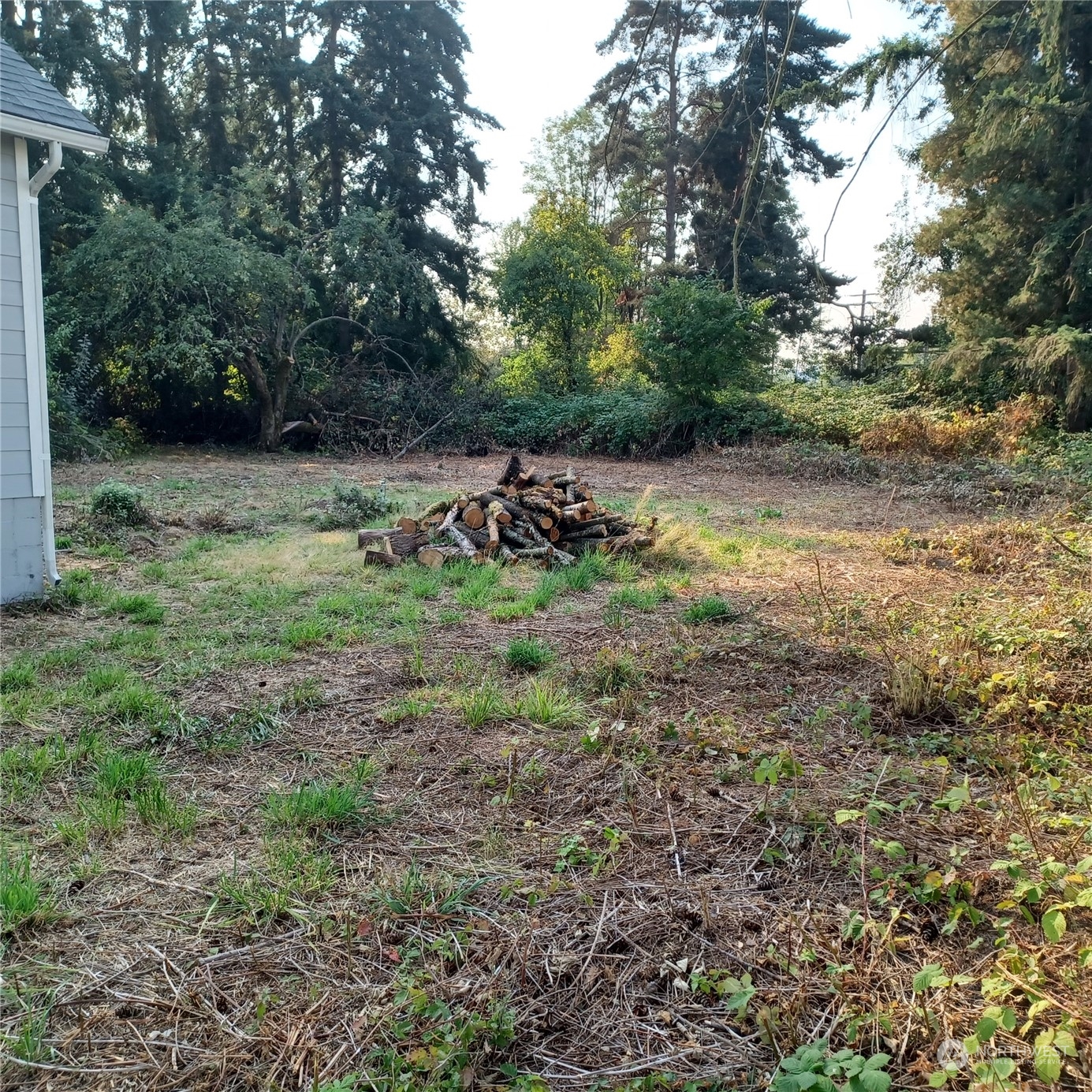 1257 S Yew Street Property Photo 4