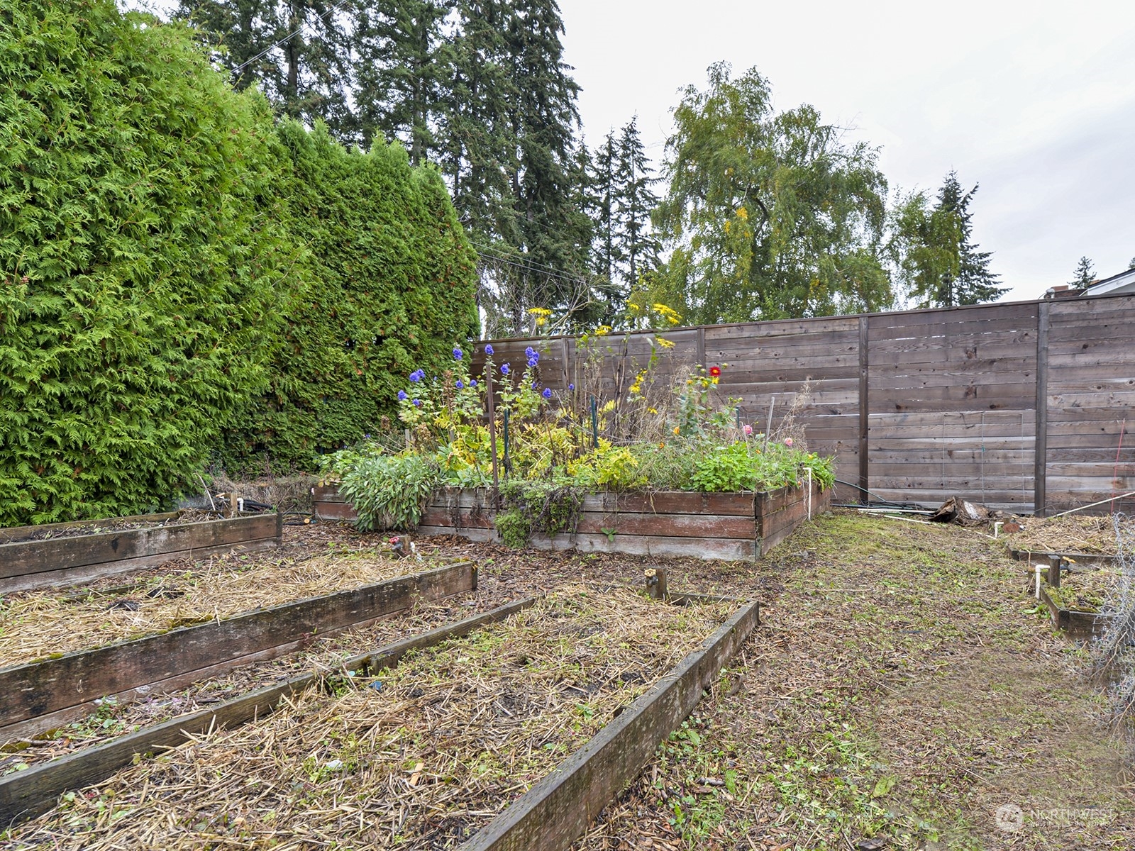 3105 Glacier Peak Avenue Property Photo 9