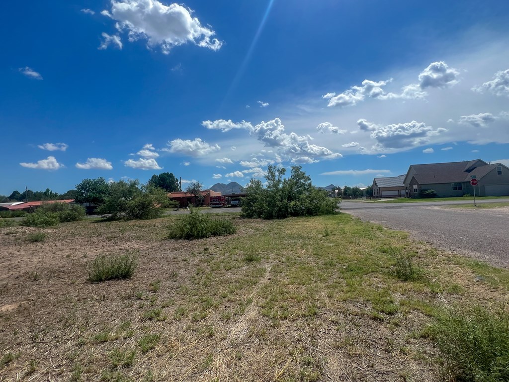 Lot 4 W Eagle Pass Property Photo 4