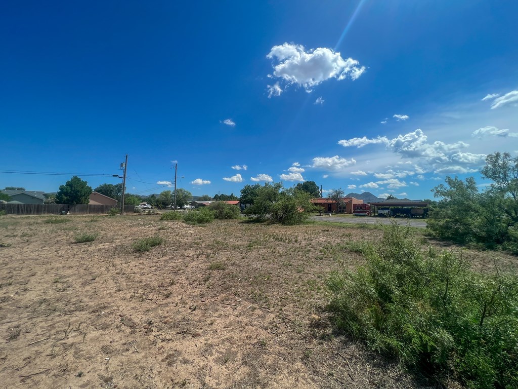 Lot 4 W Eagle Pass Property Photo 6