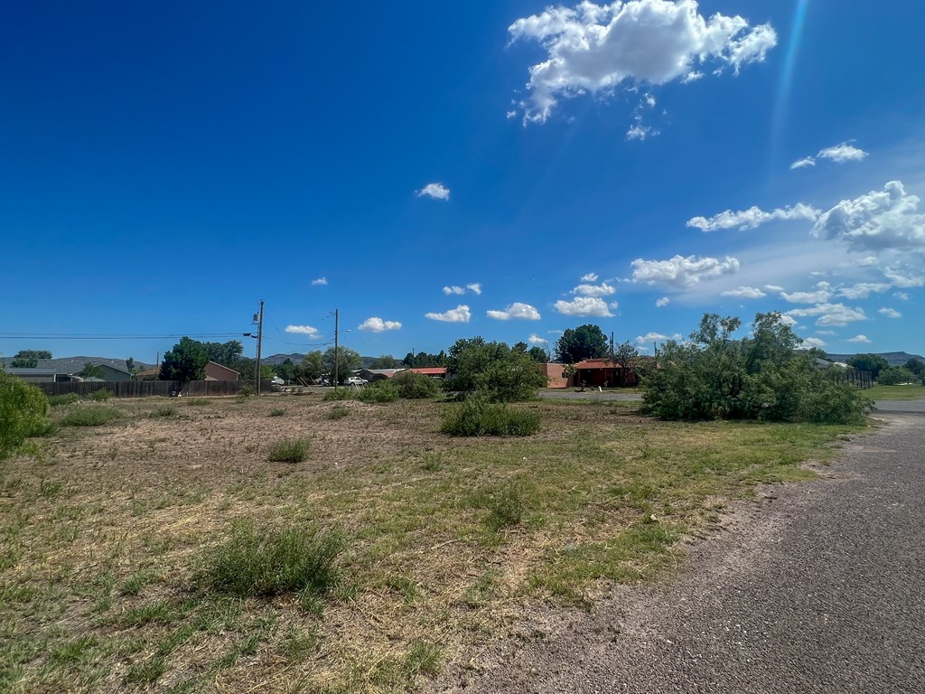 Lot 4 W Eagle Pass Property Photo 9