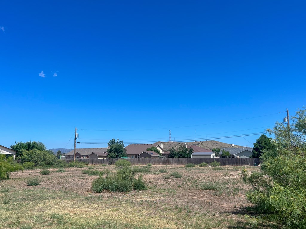 Lot 4 W Eagle Pass Property Photo 12
