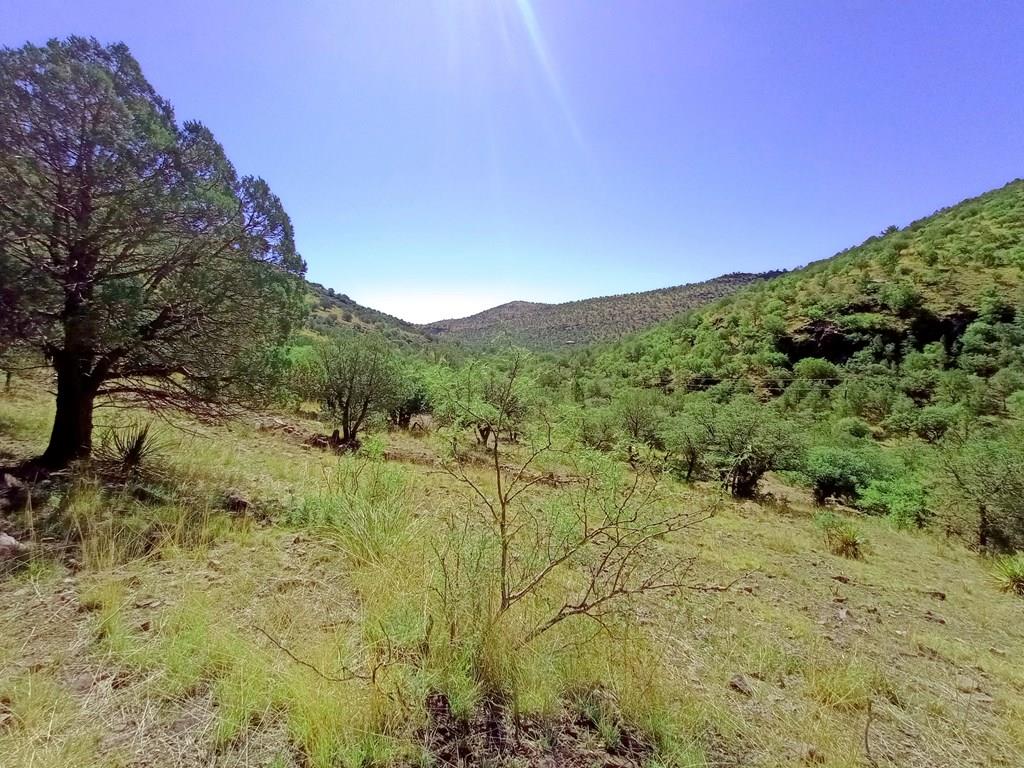 519 Squaw Valley Trail Property Photo 1