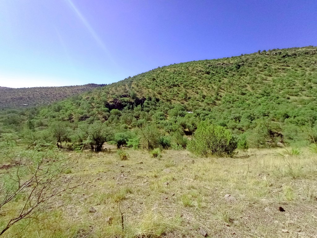 519 Squaw Valley Trail Property Photo 2