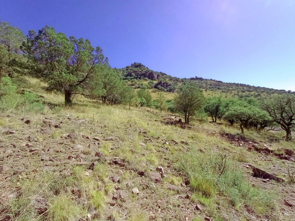 519 Squaw Valley Trail Property Photo 3