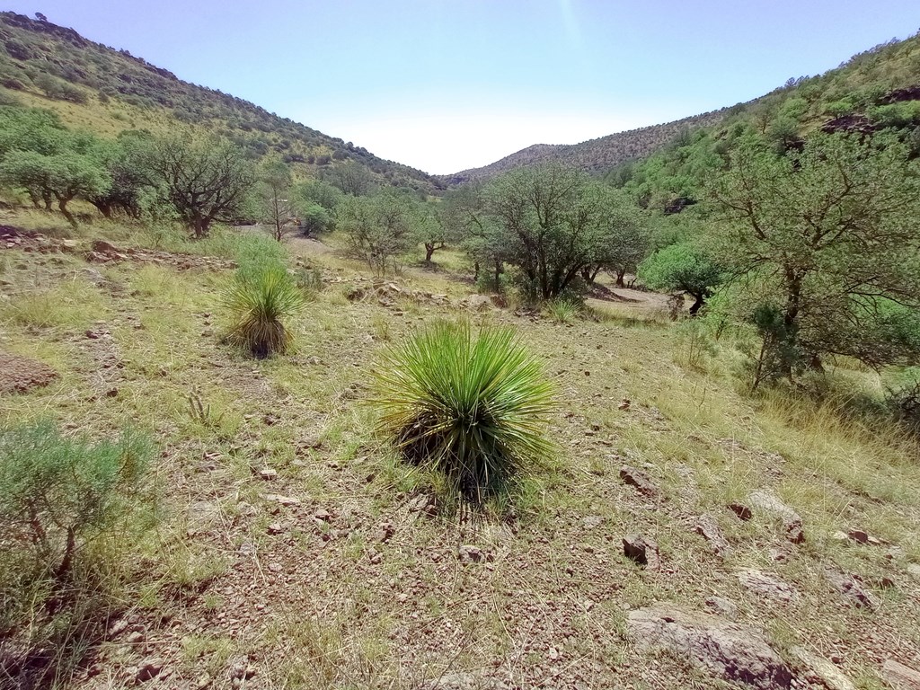 519 Squaw Valley Trail Property Photo 4